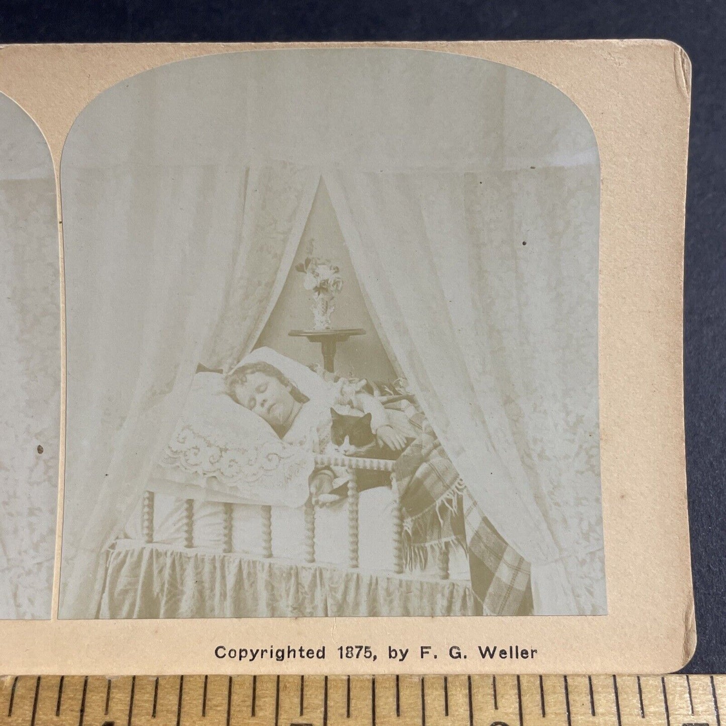 Antique 1875 A Child Sleeping With Her Cat In Bed Stereoview Photo Card P4079