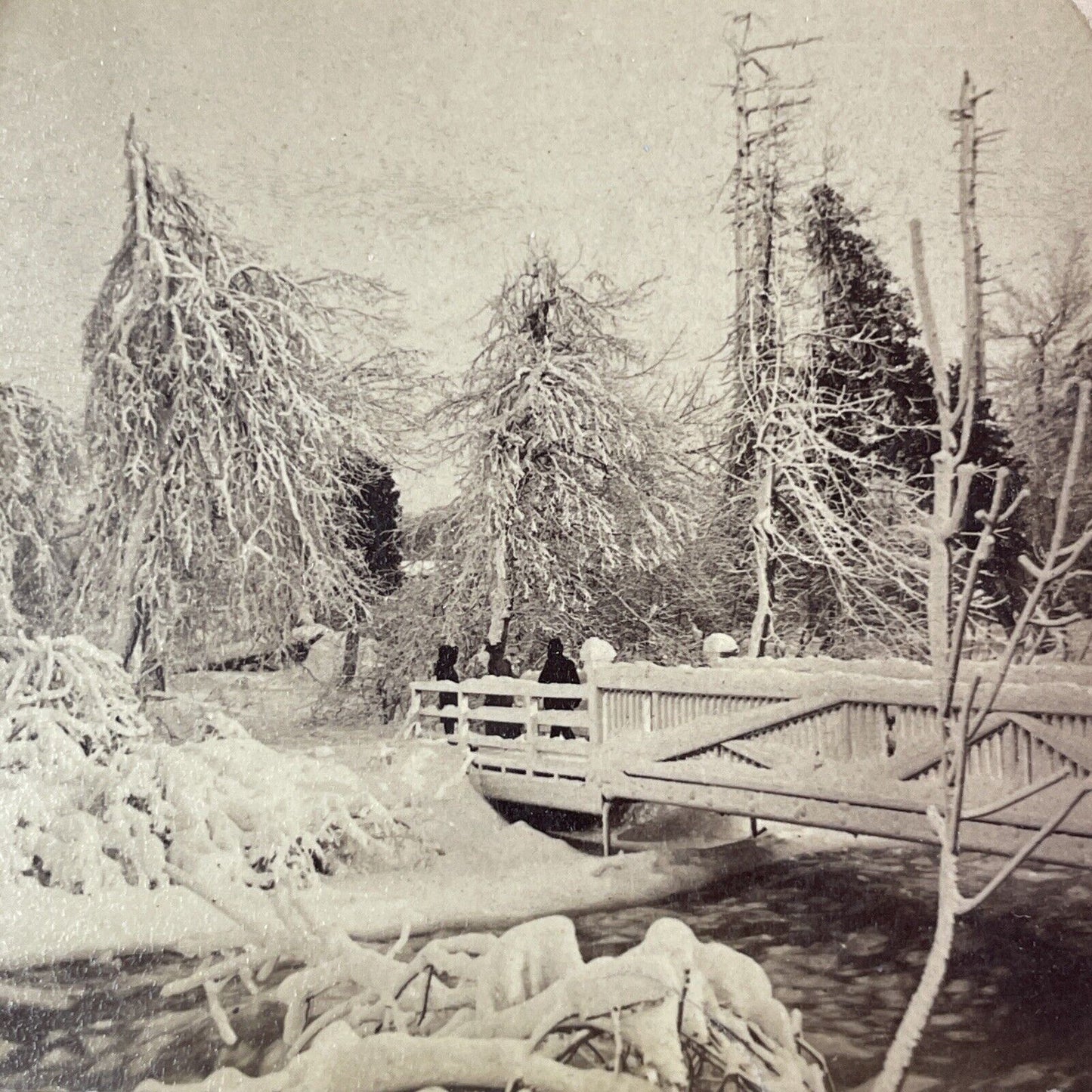 Luna Island Bridge Heavy Snow Stereoview Strohmeyer Antique c1893 Y1778