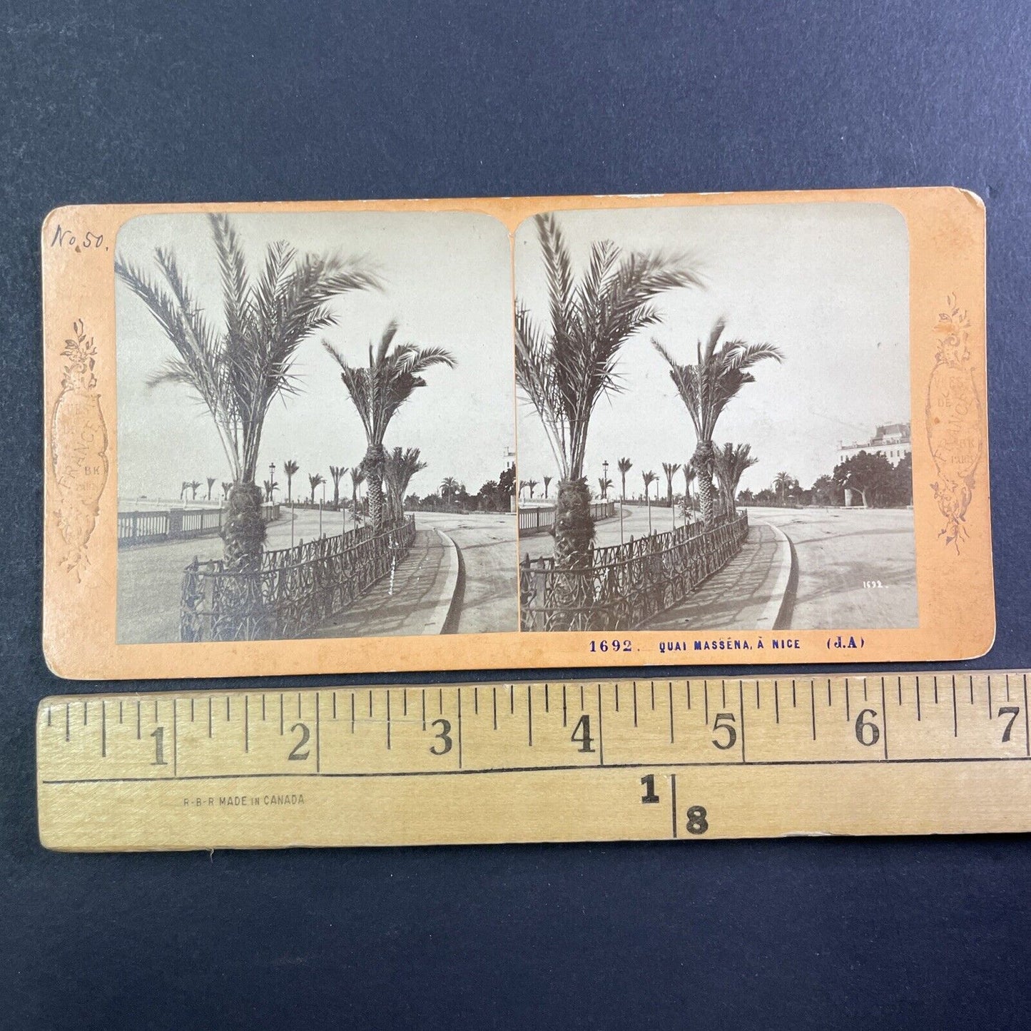 Palm Trees in Nice France Stereoview Jean Andrieu Antique c1870s X3833