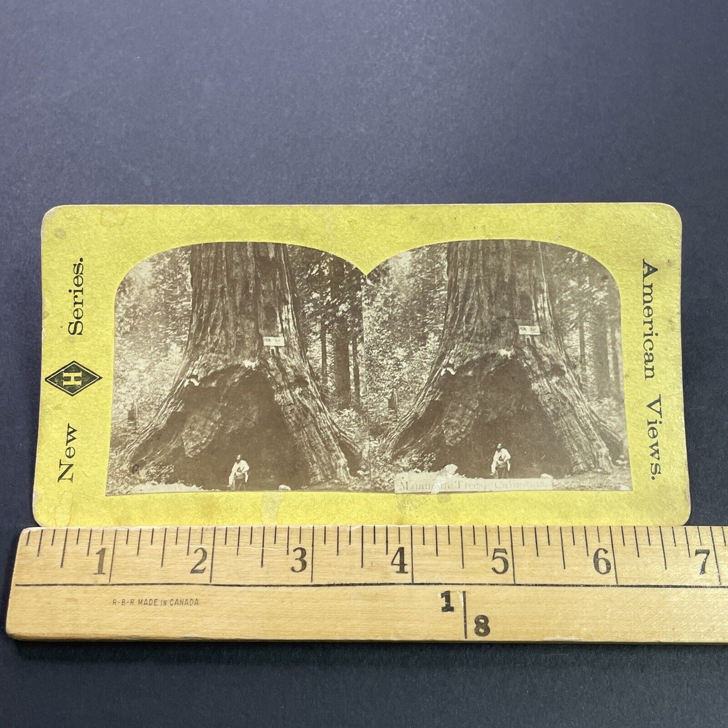 Antique 1870s Logger And Massive Redwood Tree CA Stereoview Photo Card P3574