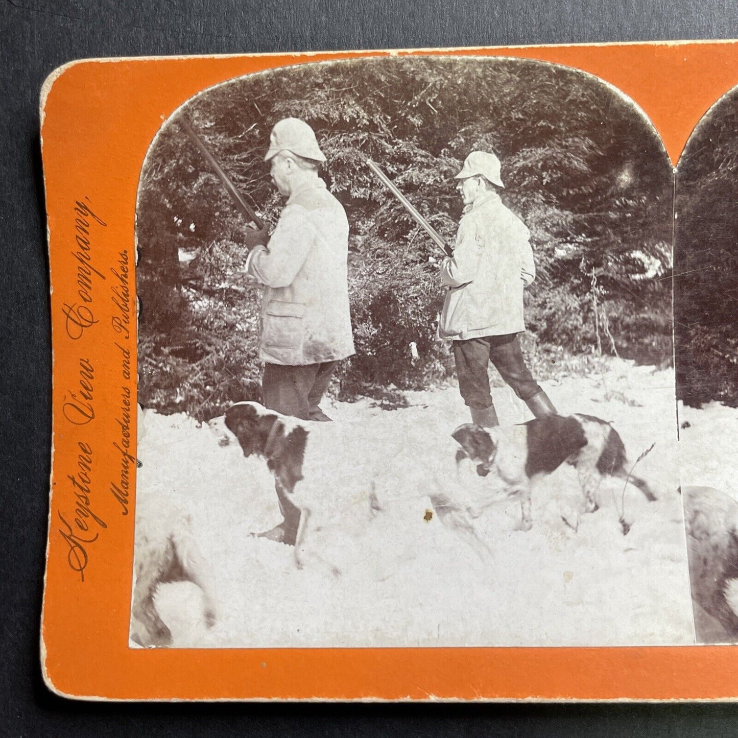 Antique 1898 English Fox Hunting With Dogs Stereoview Photo Card P1660