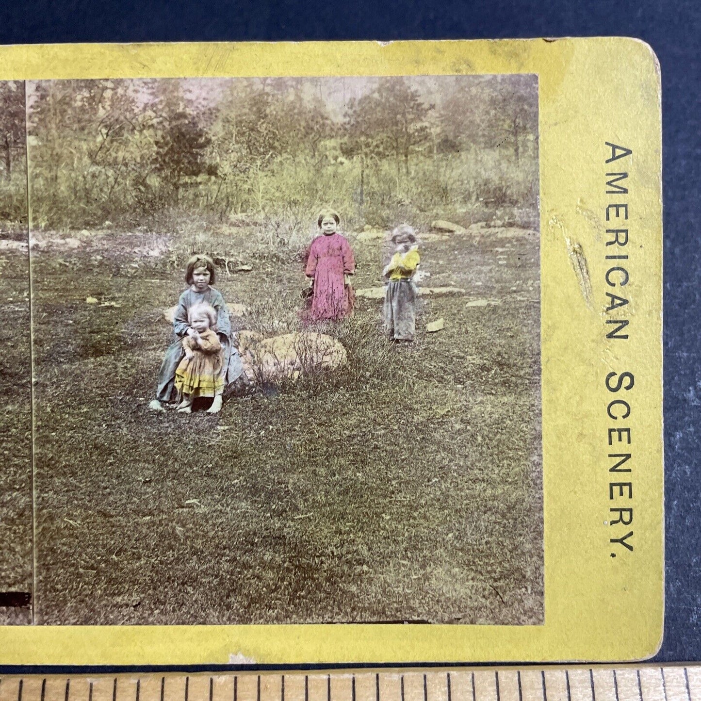 Antique 1870s Shoshone Native American Indian Girls Stereoview Photo Card P4772