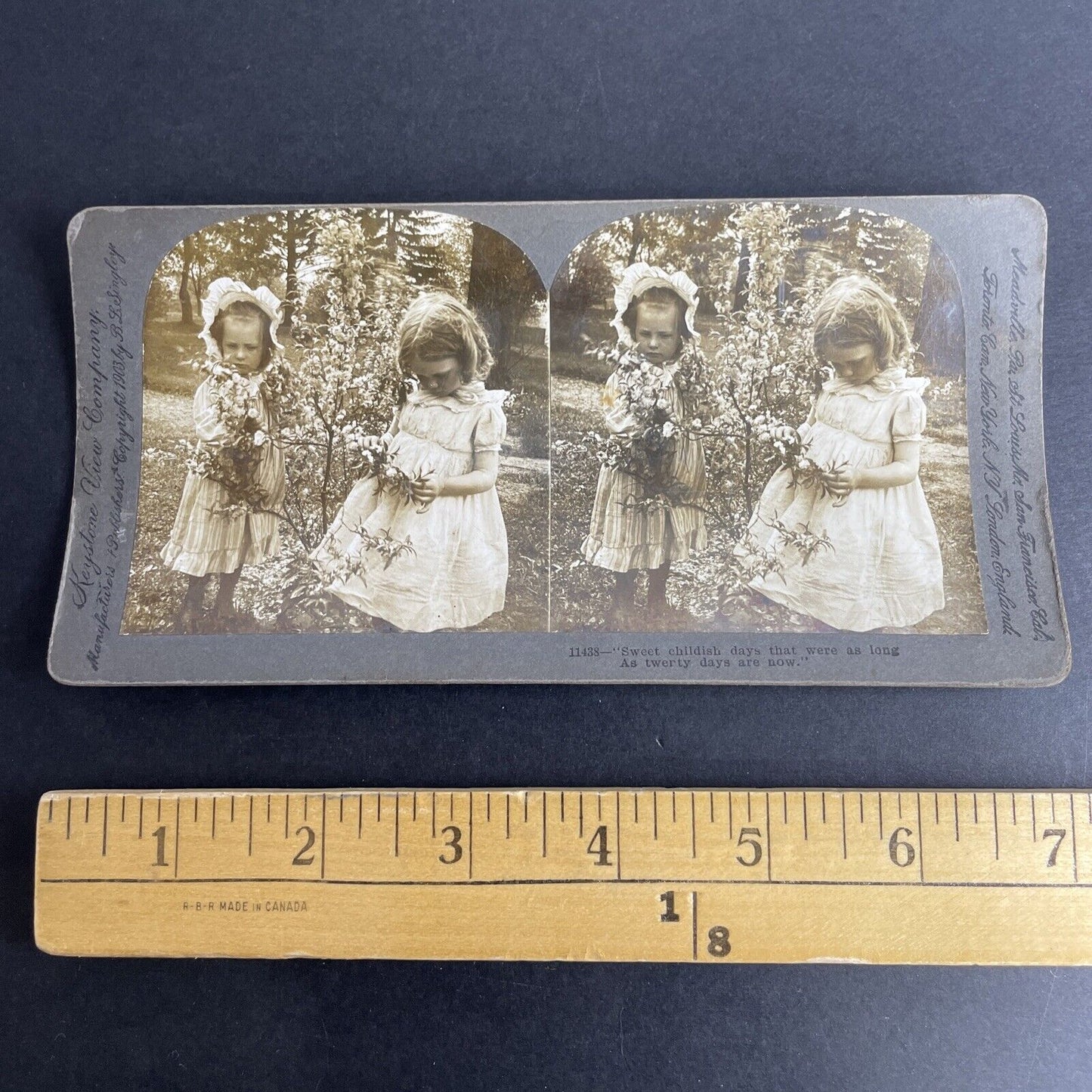 Antique 1903 American Children Picking Cotton Stereoview Photo Card P1037