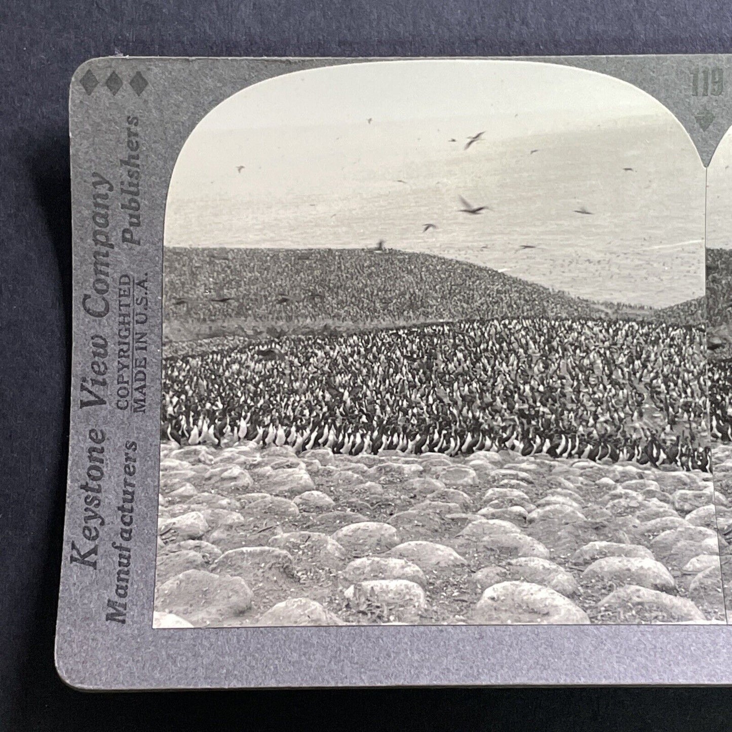 Antique 1918 Pescadores Island Gallinazo Peru Stereoview Photo Card P1565