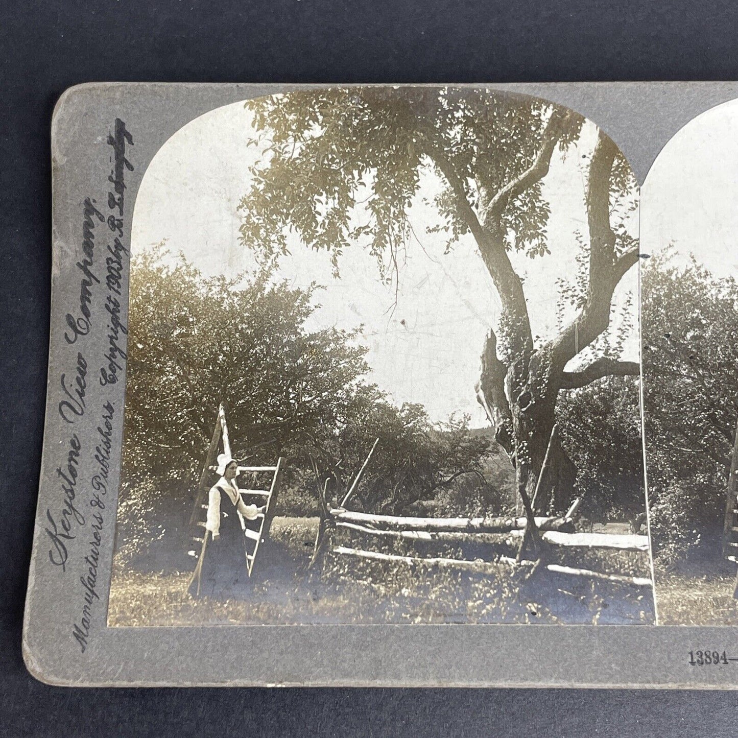 Antique 1903 Christian Woman Grand-Pré Nova Scotia Canada Stereoview Photo PC636