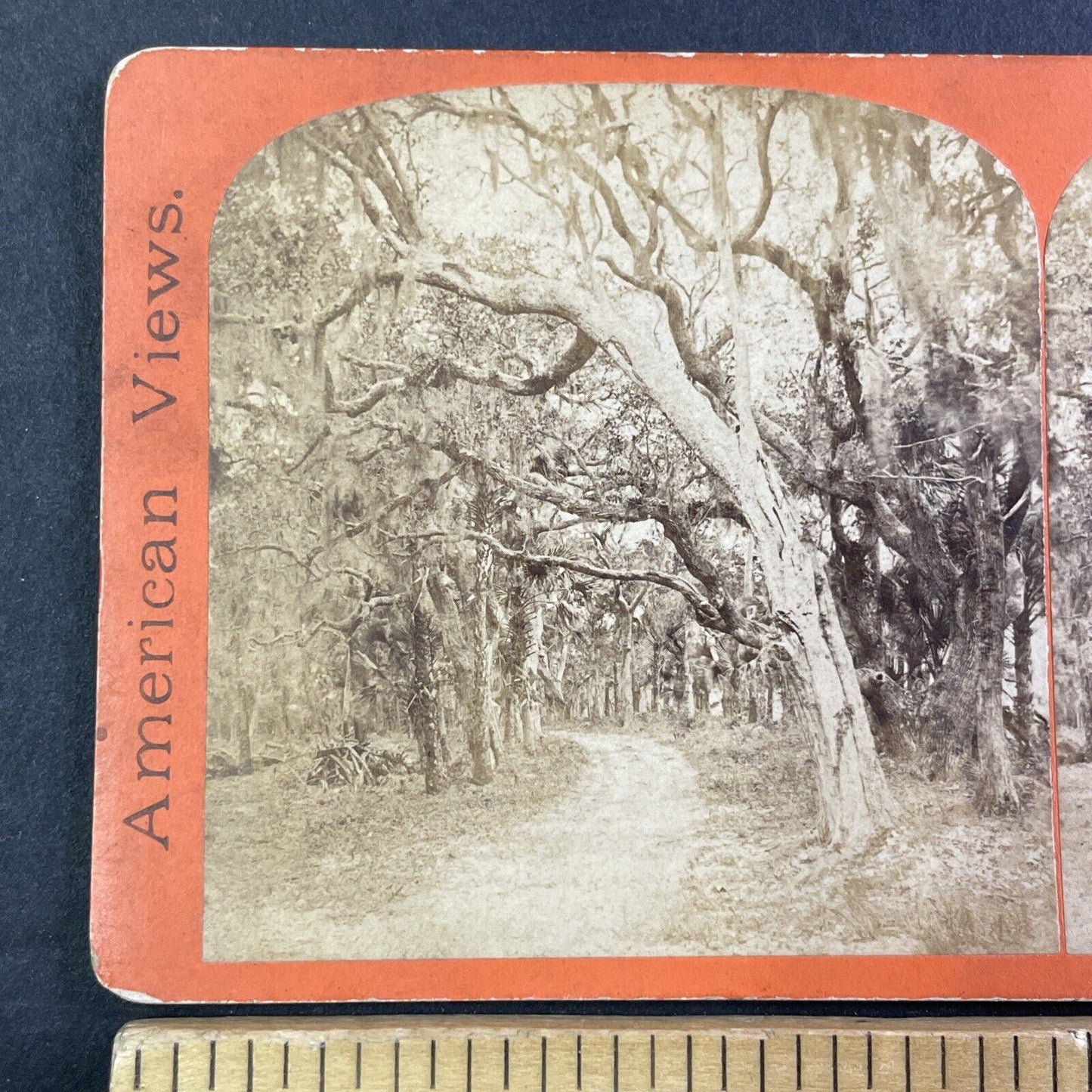 Fort George Island Florida Stereoview E&HT Anthony Antique c1867 X3722