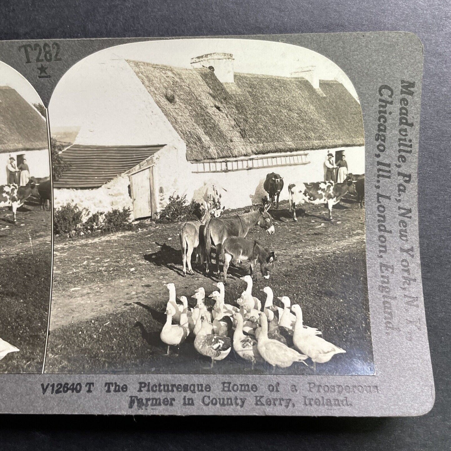 Antique 1918 Small Farm County Kerry Ireland Stereoview Photo Card P1365