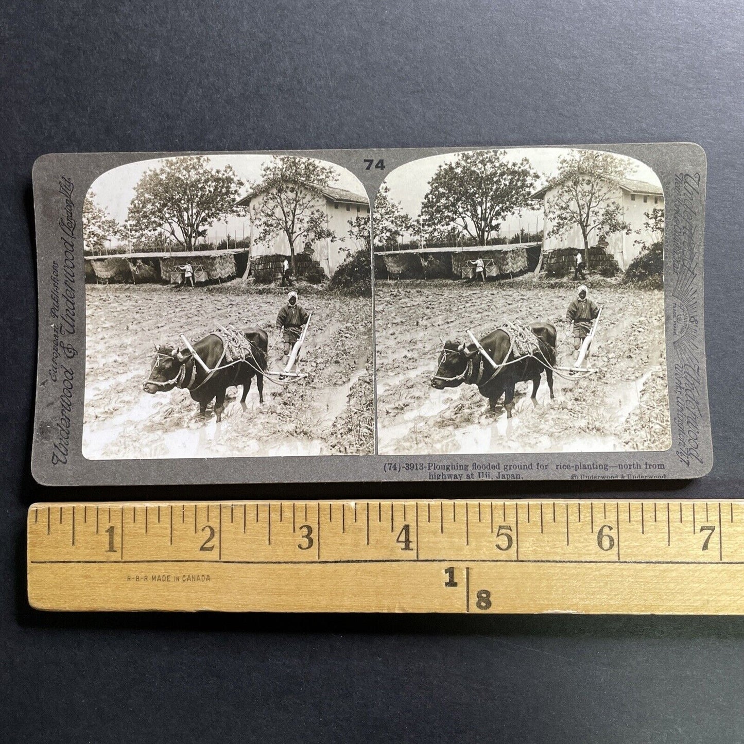 Antique 1903 Farming In Uji Japan Flooded Field Stereoview Photo Card P1480