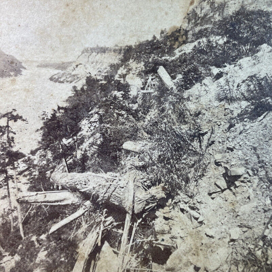 Antique 1870s Niagara Falls Gorge Landside New York  Stereoview Photo Card P3301