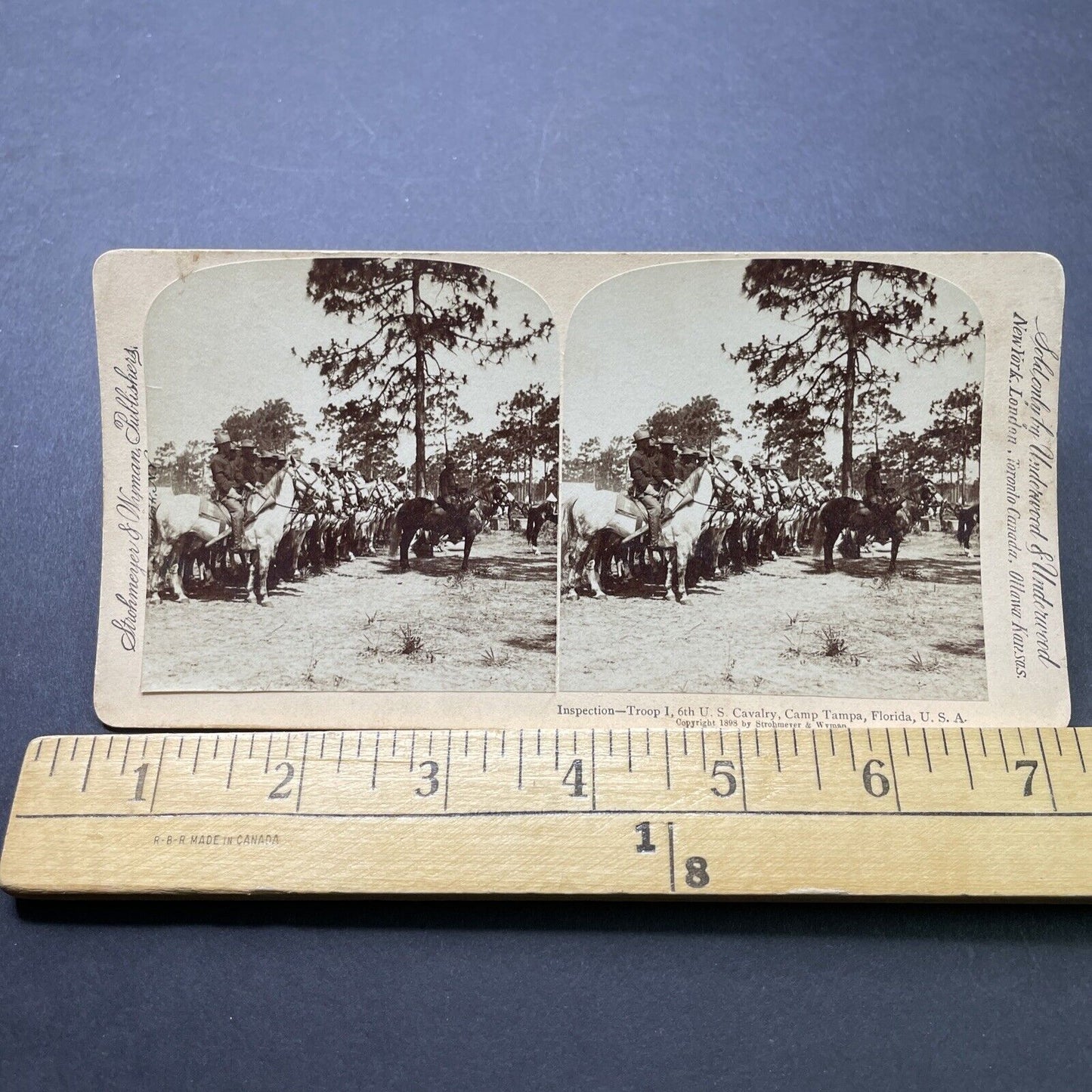 Antique 1898 6th US Cavalry In Tampa Bay Florida Stereoview Photo Card P2361