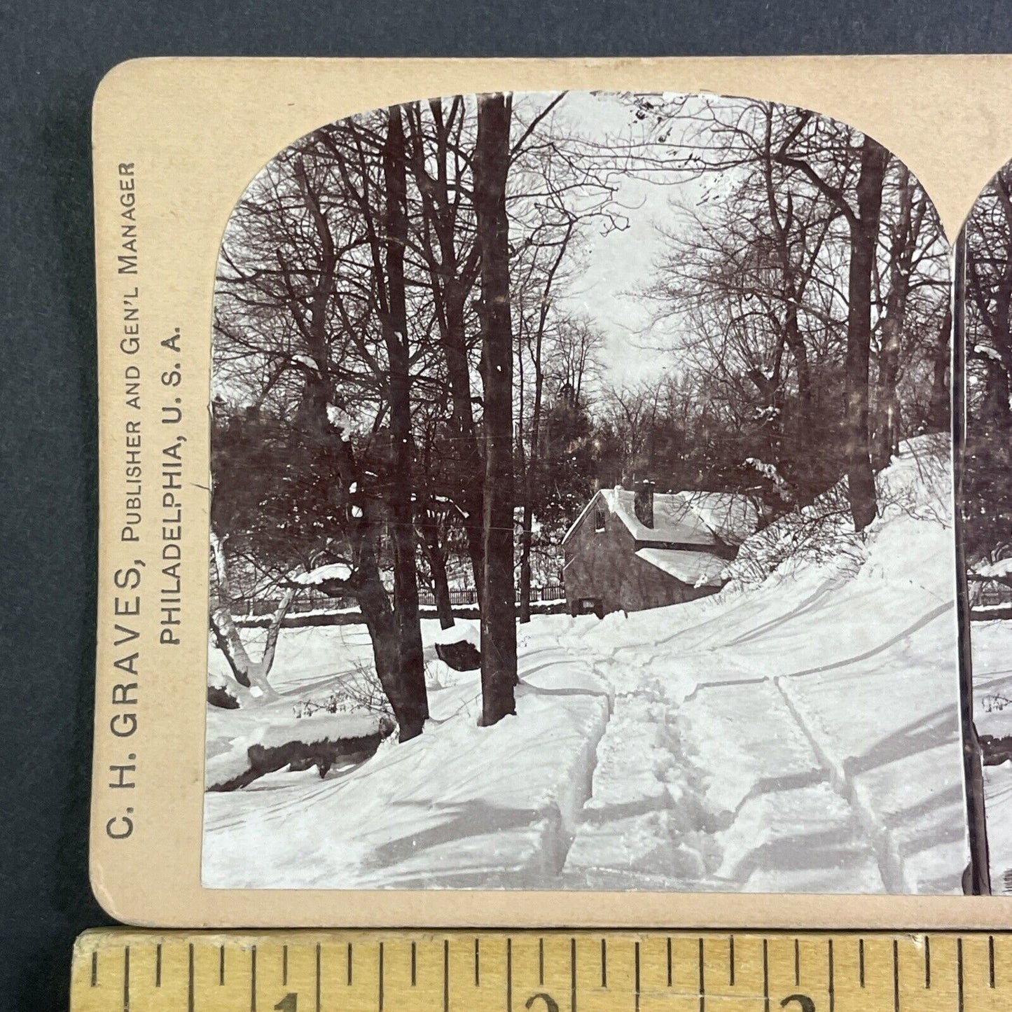 Winter Snowstorm Near Philadelphia Stereoview CH Graves Antique c1898 X2832