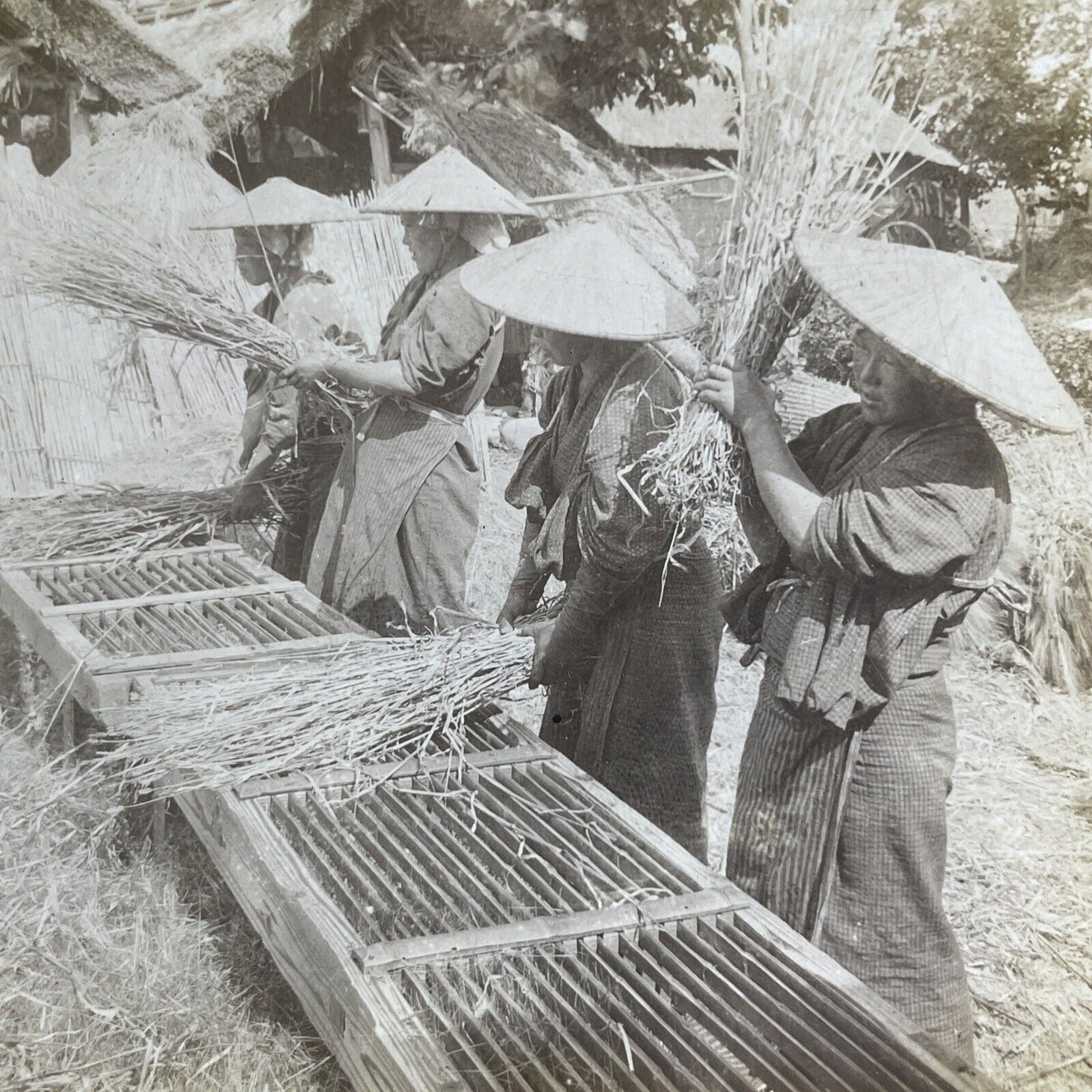 Antique 1904 Farmers Threshing Rice Shizuoka Japan Stereoview Photo Card P2178