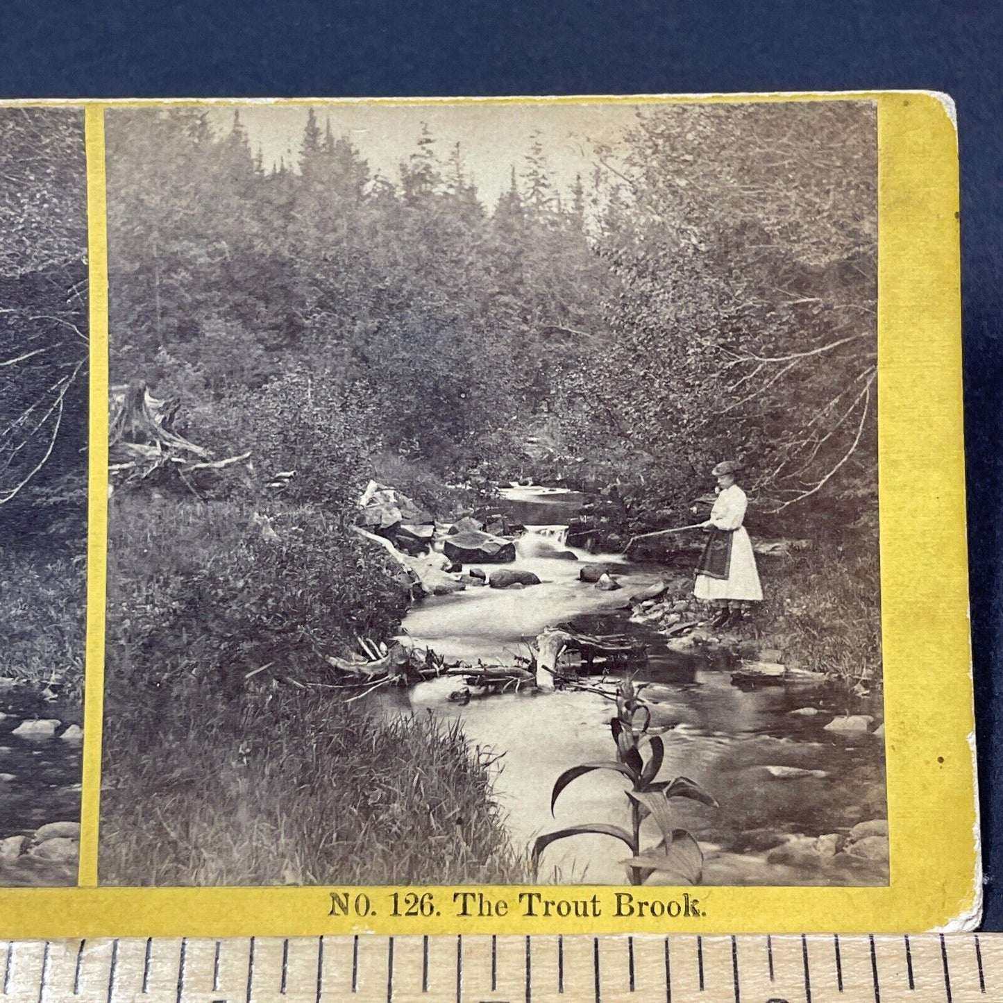 Antique 1871 Trout Fishing Near Gilsum New Hampshire Stereoview Photo Card V1893