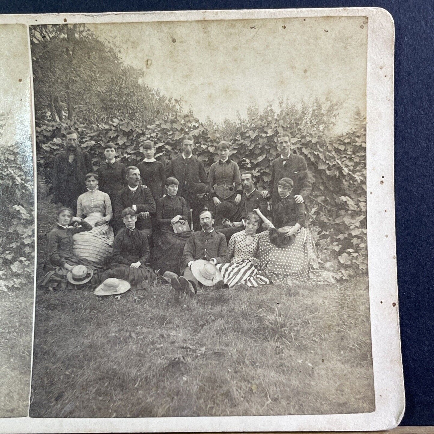 Marxist US Socialism Movement Group Photo Stereoview Antique c1880 X3768