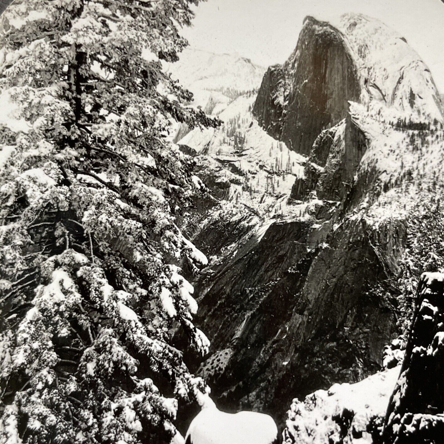 Antique 1910s Snowstorm In Yosemite Park California Stereoview Photo Card V2034