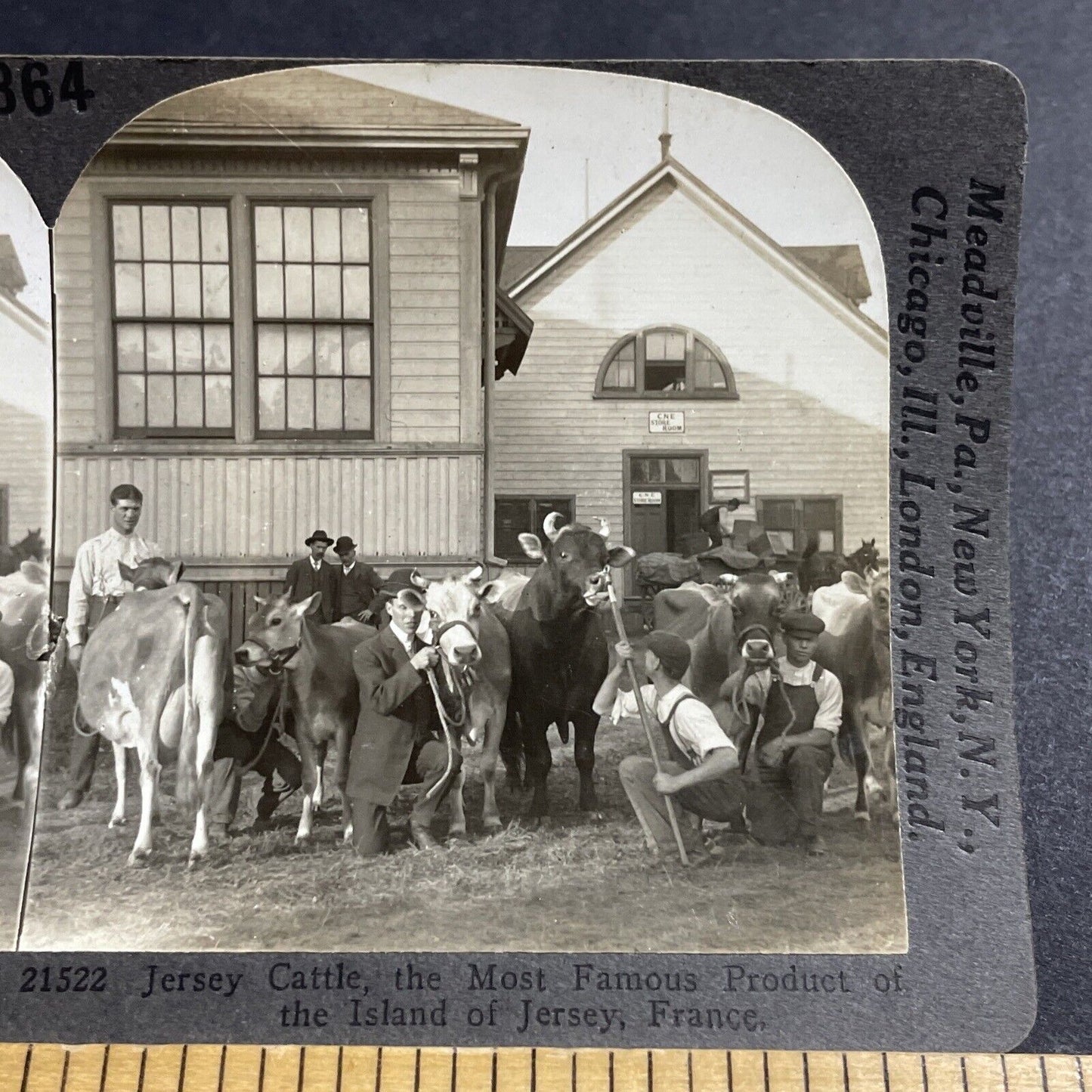 Antique 1920s The CNE In Toronto Ontario Canada Stereoview Photo Card P5142