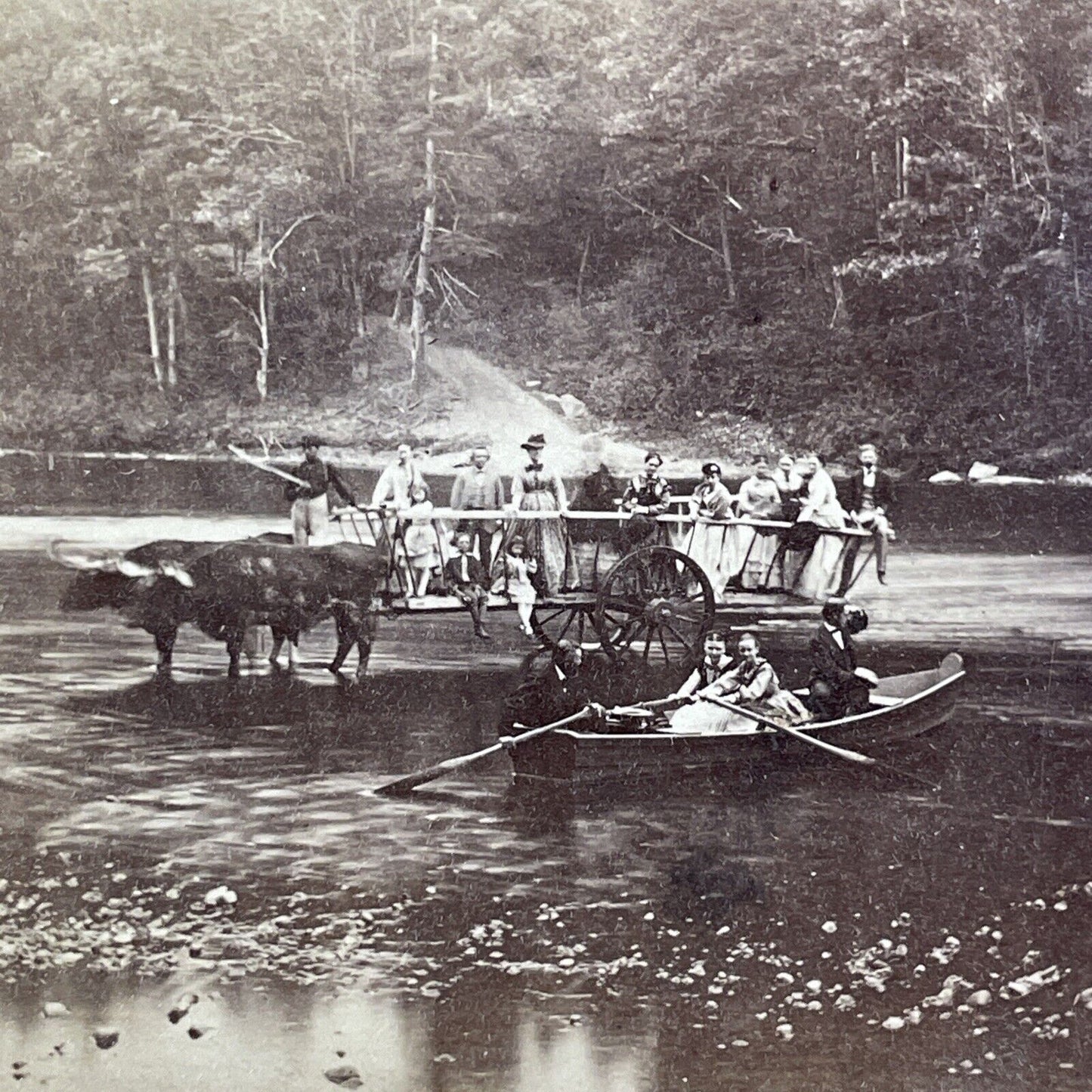 Ox Driven Ferry Campton New Hampshire Stereoview E.J. Young c1870s Y884