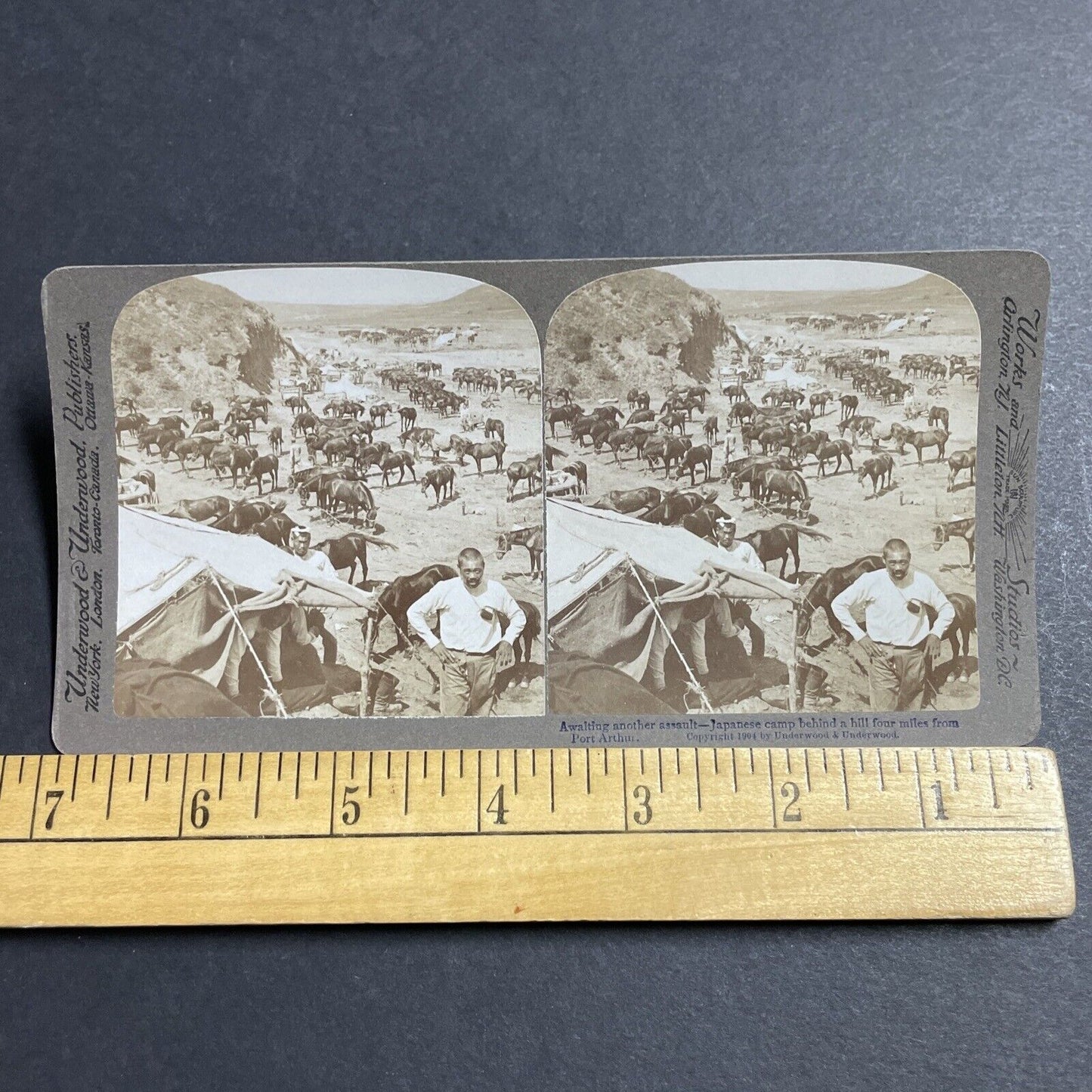 Antique 1904 Japan Army Cavalry Soldiers Stereoview Photo Card P5584