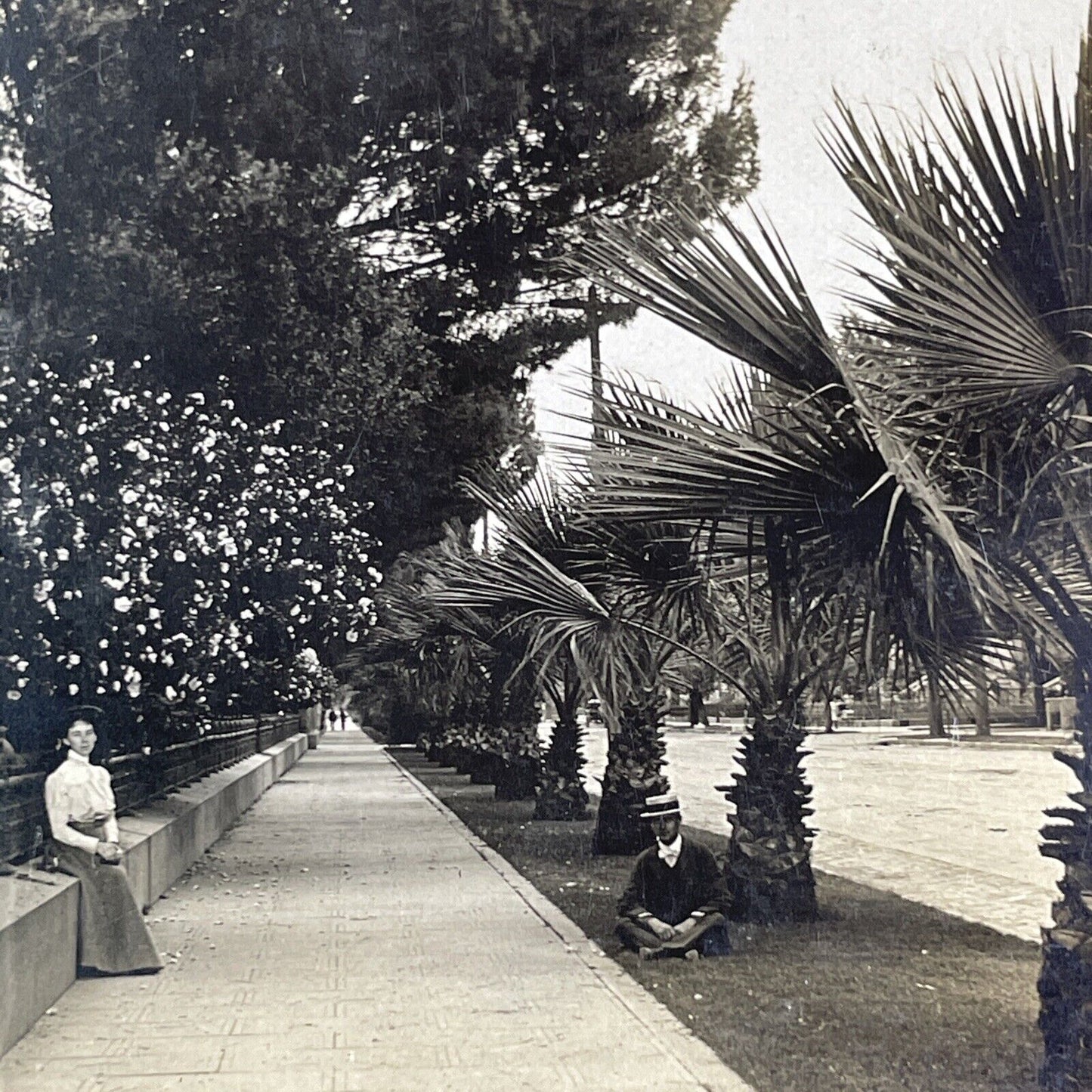 A Main Street In Sacramento California Stereoview Antique c1906 X2842