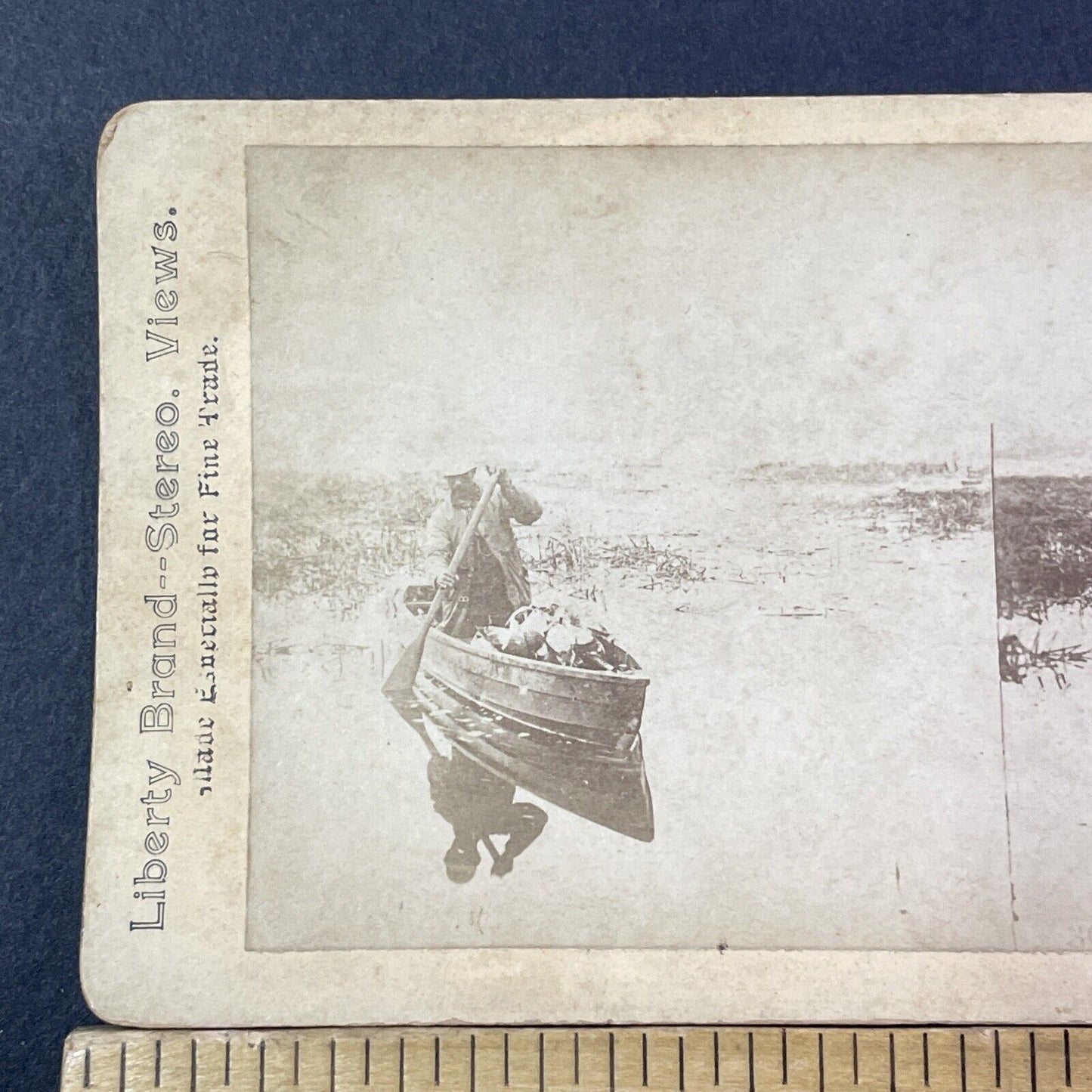 Duck Hunting In A Canoe Or Rowboat Stereoview Hunter Antique c1880 X2796