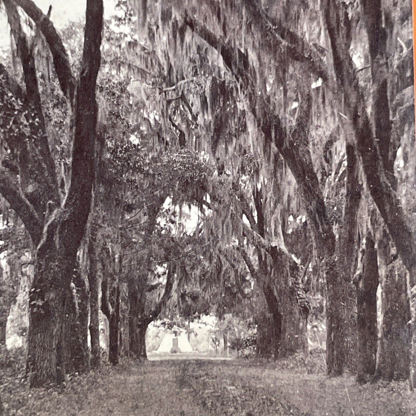 Bonaventure Cemetery Savannah GA Stereoview JA Palmer Antique c1866 X3280