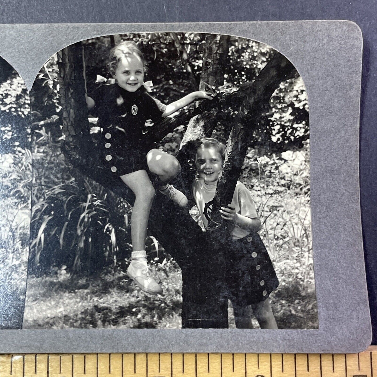 Family Of Harley W. Russ Stereoview Haverhill Massachusetts Antique c1930 X2783