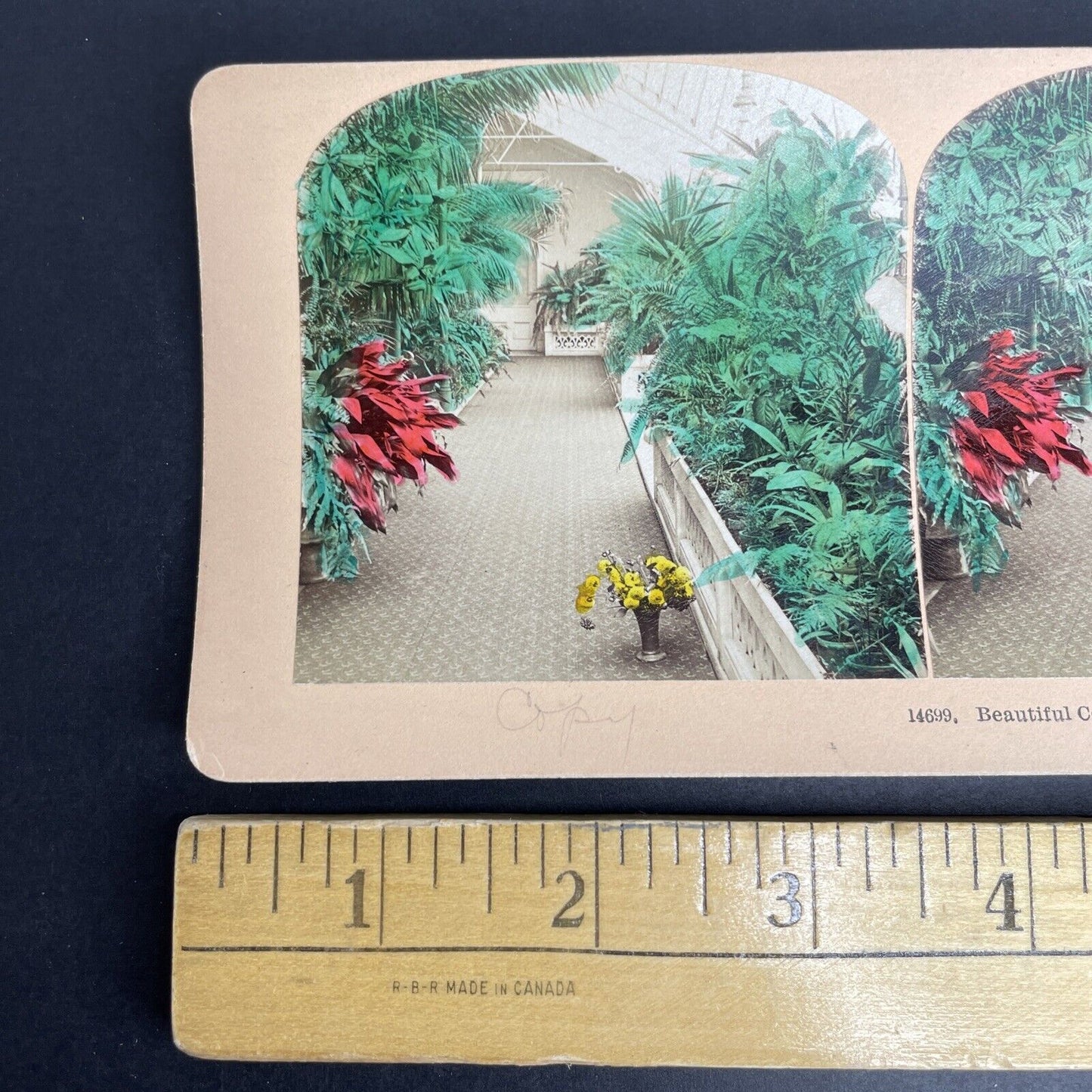 Antique 1903 Third Government House Gardens Toronto Stereoview Photo Card PC852