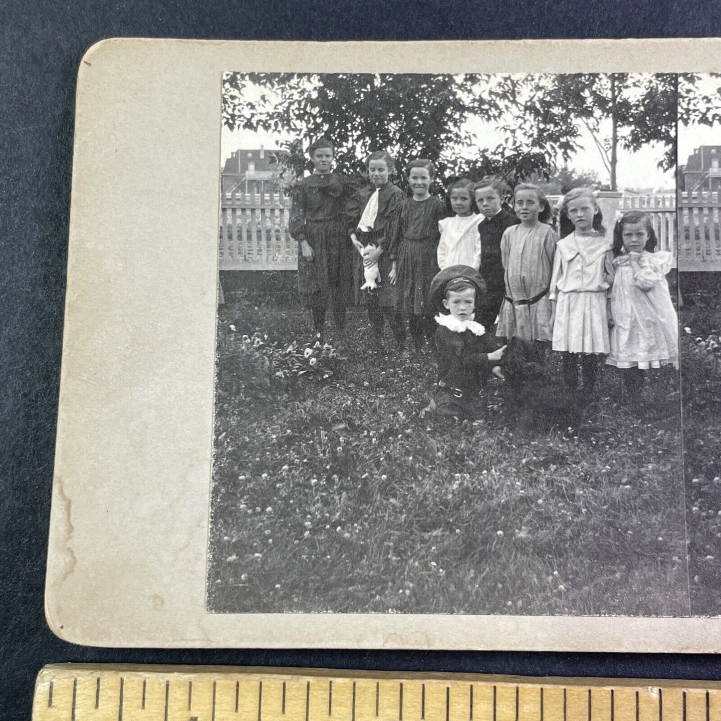 A Group of Wealthy Children in a Yard Stereoview OOAK Antique c1908 Y2726