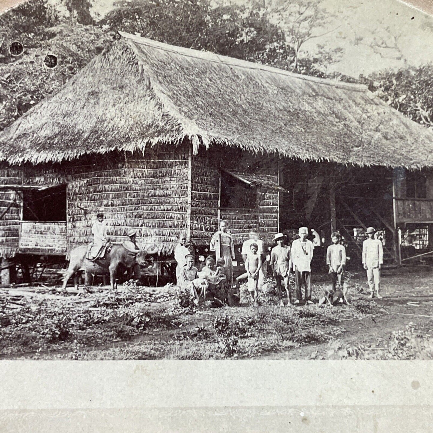 Antique 1860s Uncontacted Tribes In The Philippines Stereoview Photo Card P3847