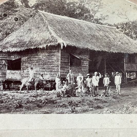 Antique 1860s Uncontacted Tribes In The Philippines Stereoview Photo Card P3847