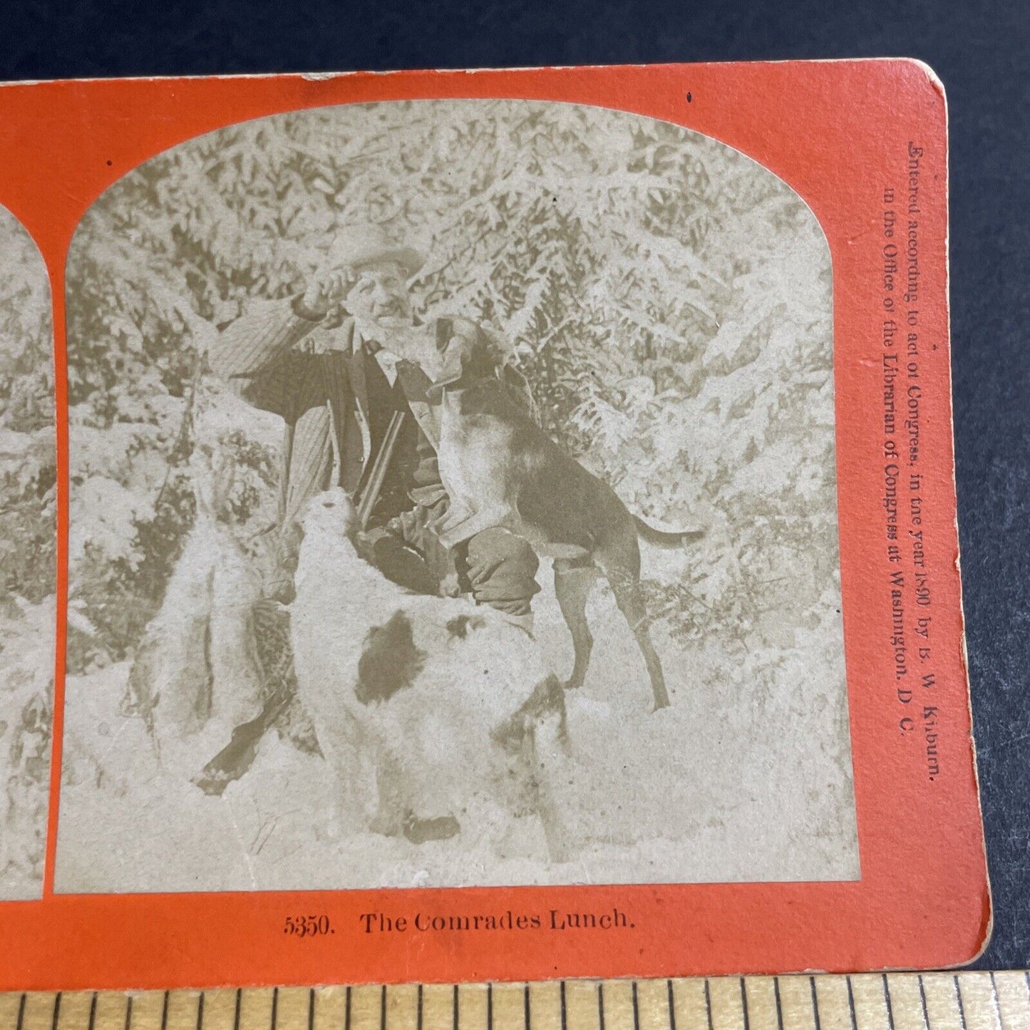 Antique 1890 Benjamin W Kilburn And His Hunting Dogs Stereoview Photo Card P4682