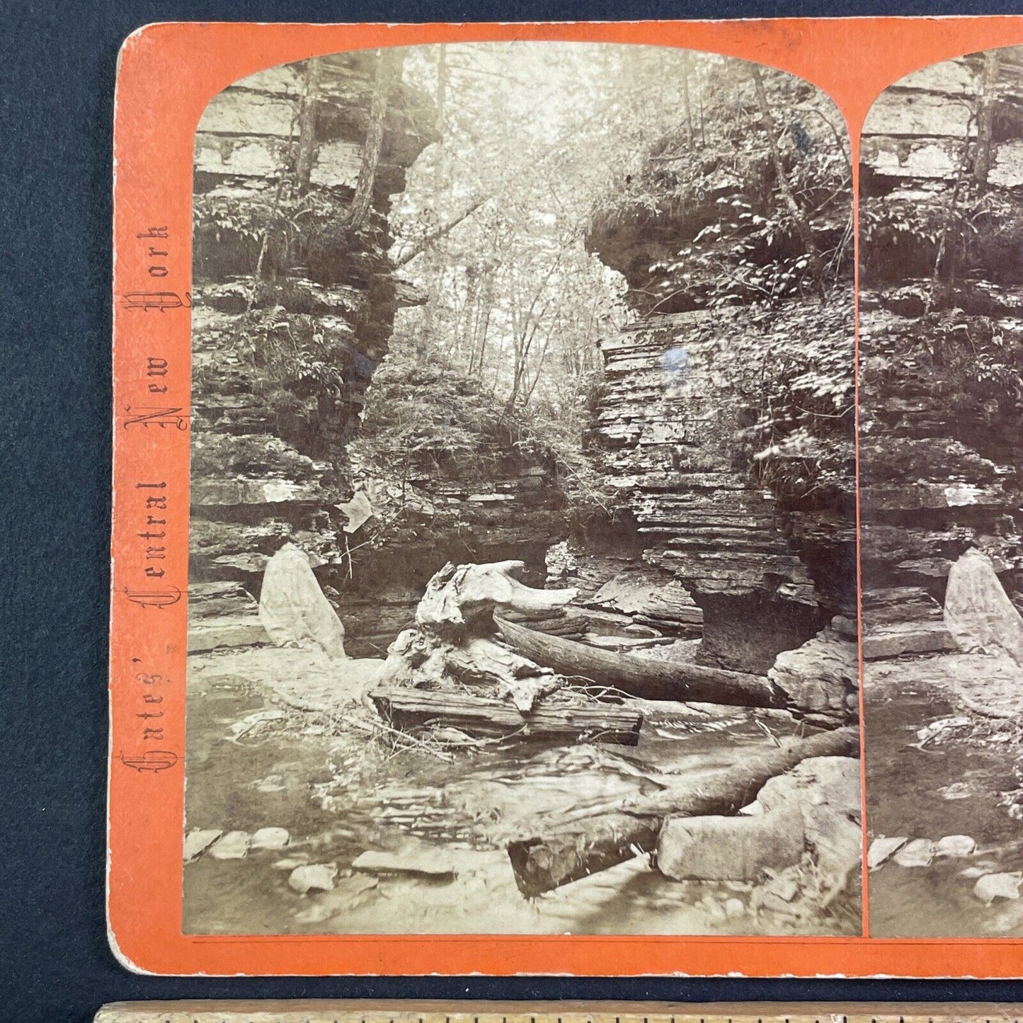 Tree Debris Watkins Glen New York Stereoview George F. Gates Antique c1865 Y1750