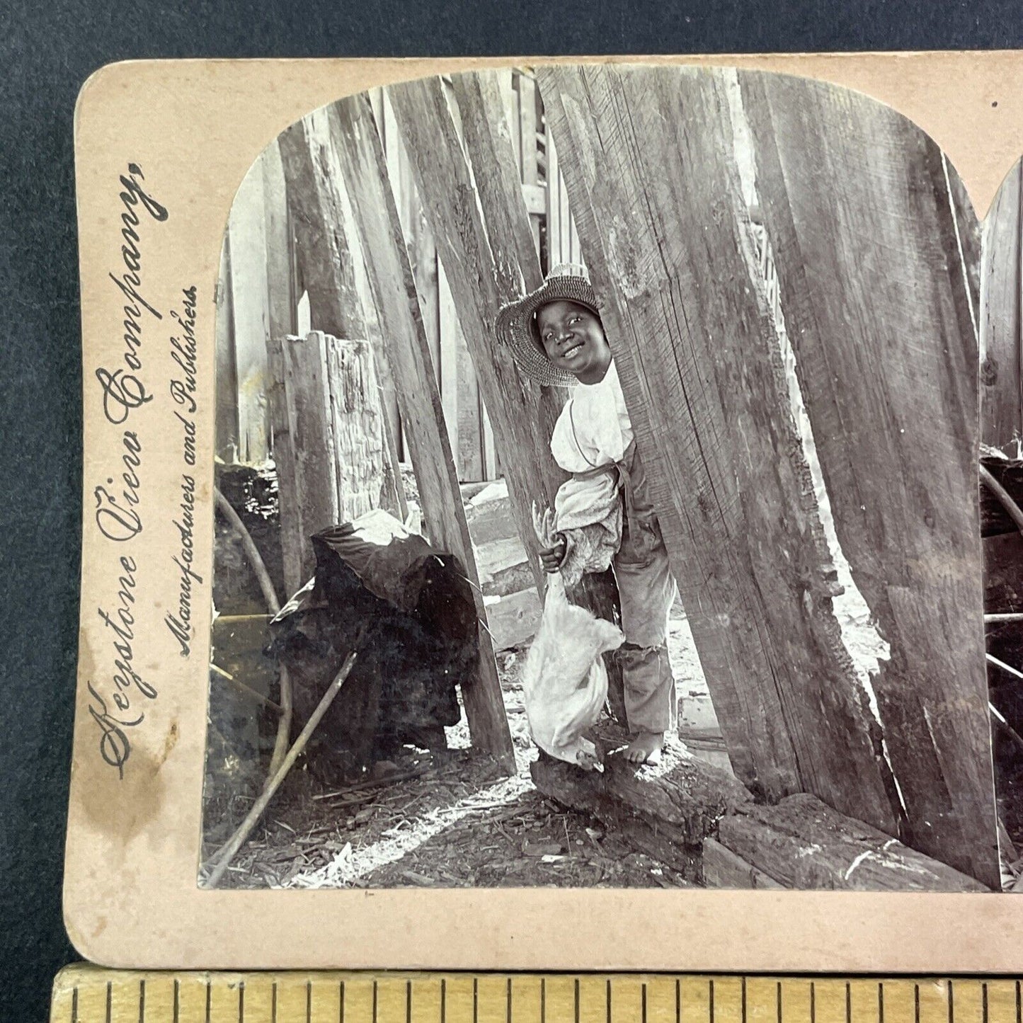 African American Farm Boy Catches A Chicken Stereoview Antique c1899 X2606