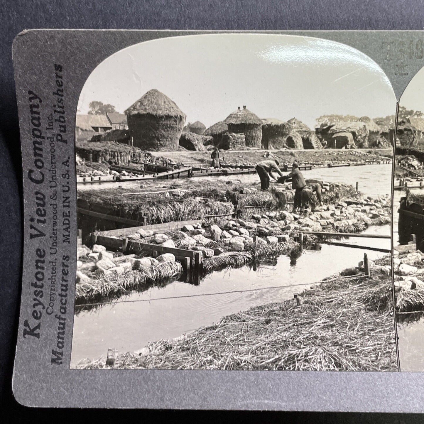 Antique 1915 Flax Farming Kortrijk Belgium Stereoview Photo Card P1765