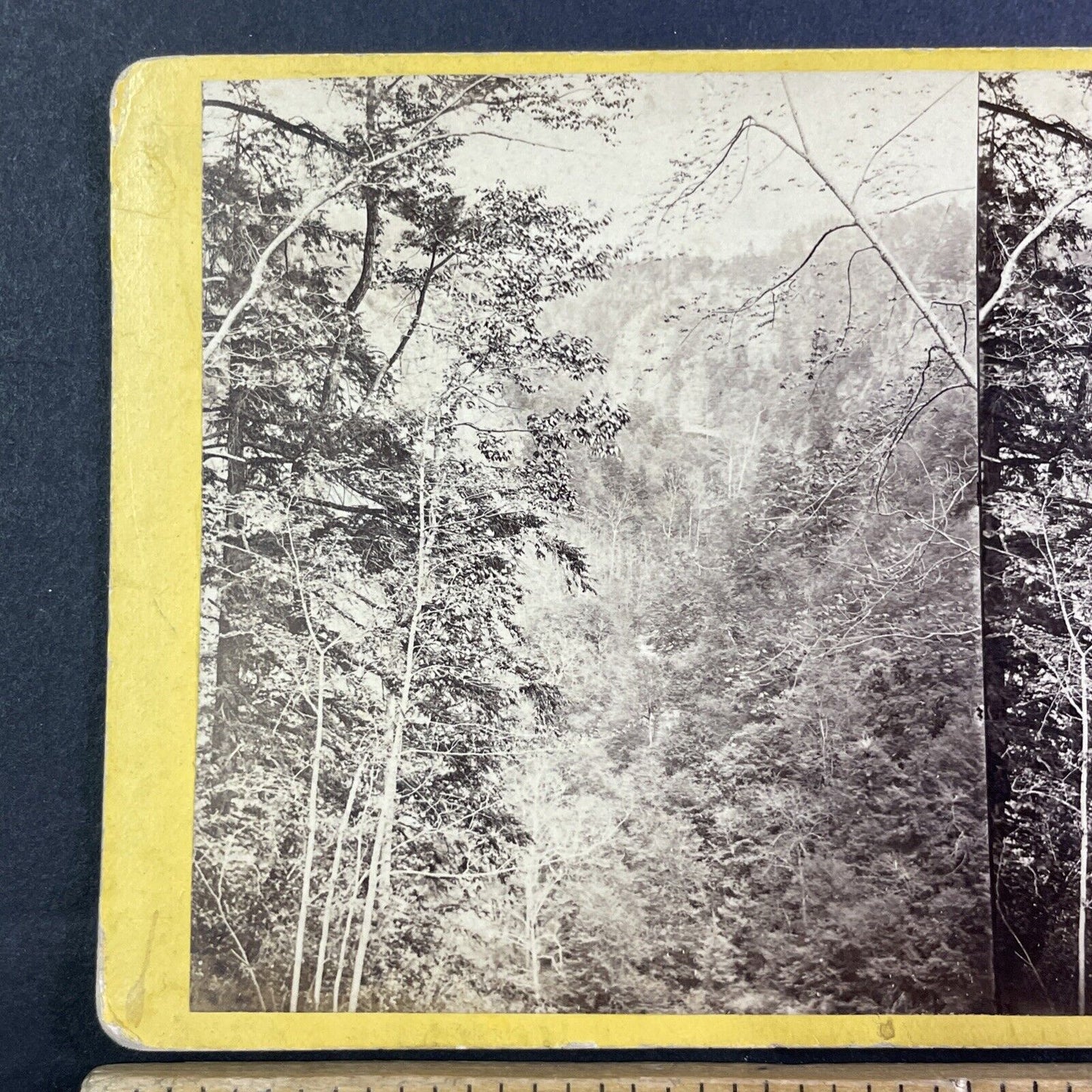 Taughannock Ravine Ithaca New York Stereoview E&HT Anthony Antique c1870 X3640