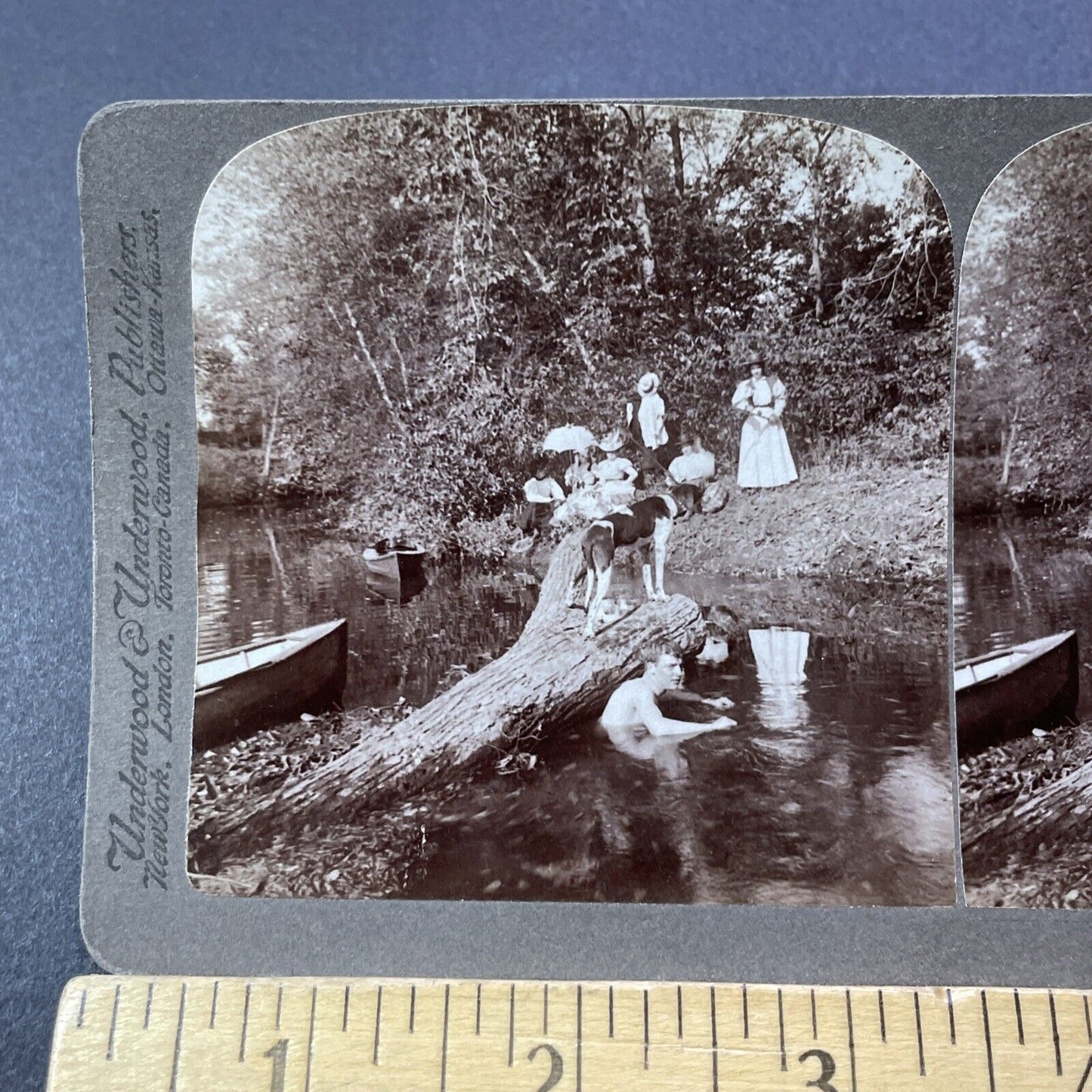 Antique 1899 Victorian Swimming Party At Lake Stereoview Photo Card V3246