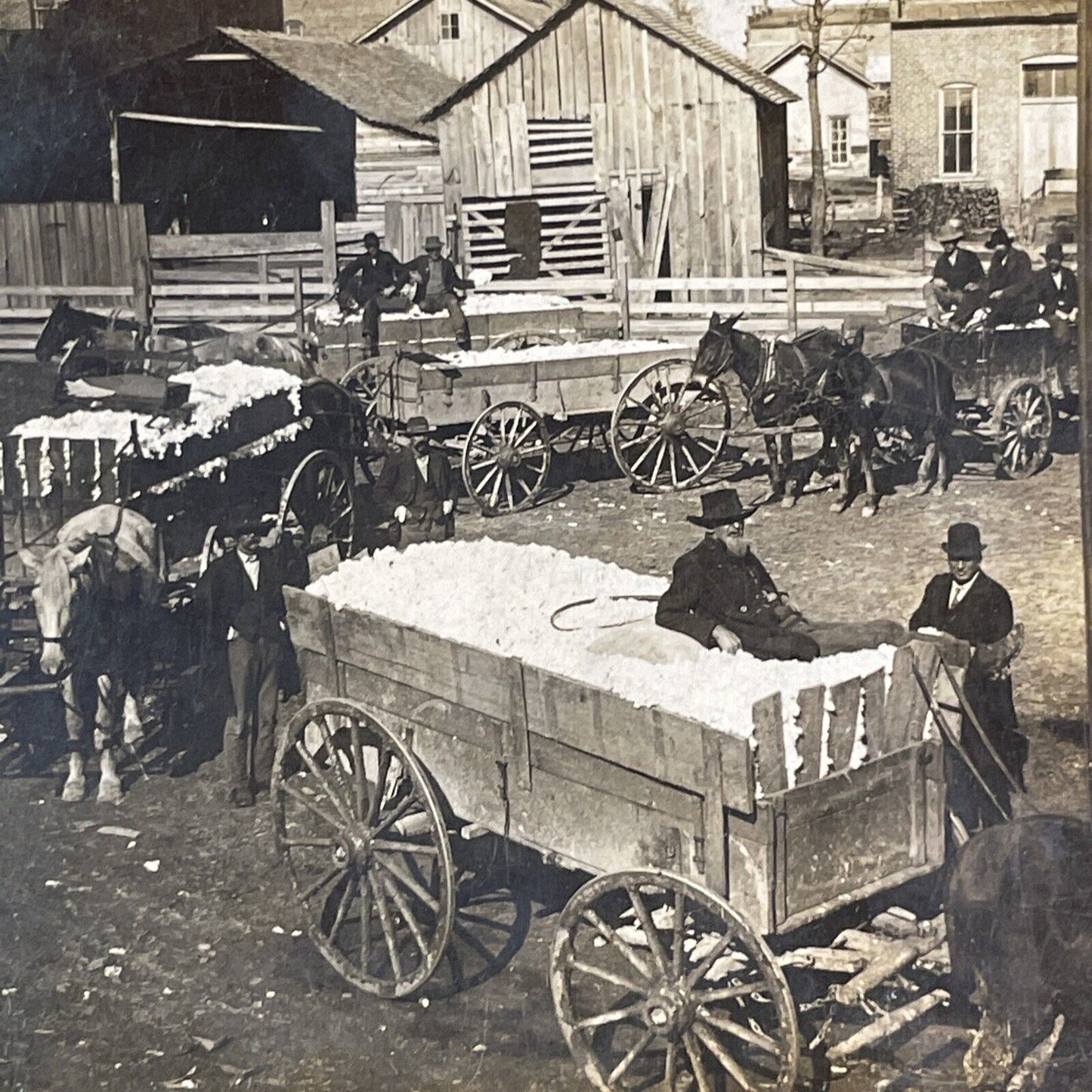 Cotton Deliveries Waiting At Cotton Mill Stereoview Antique c1903 X2709