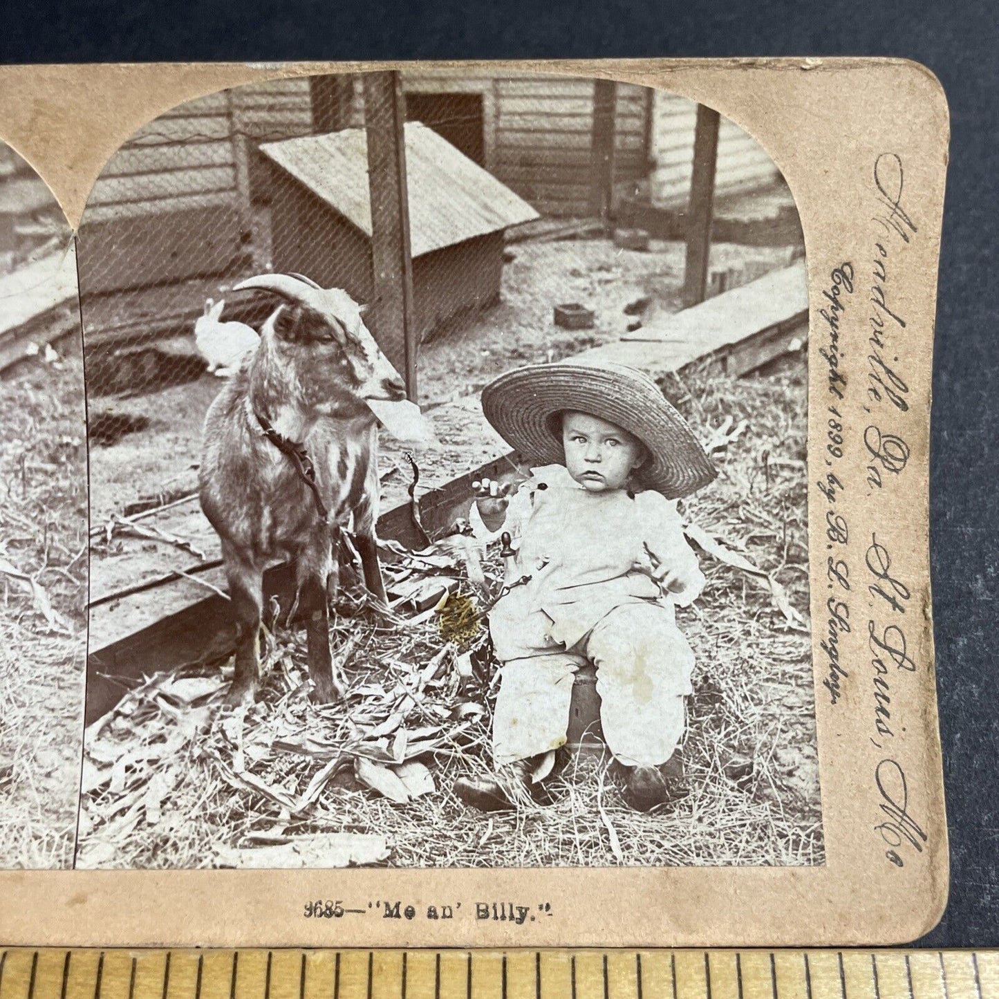 Antique 1899 A Child With A Billy Goat Stereoview Photo Card P4749