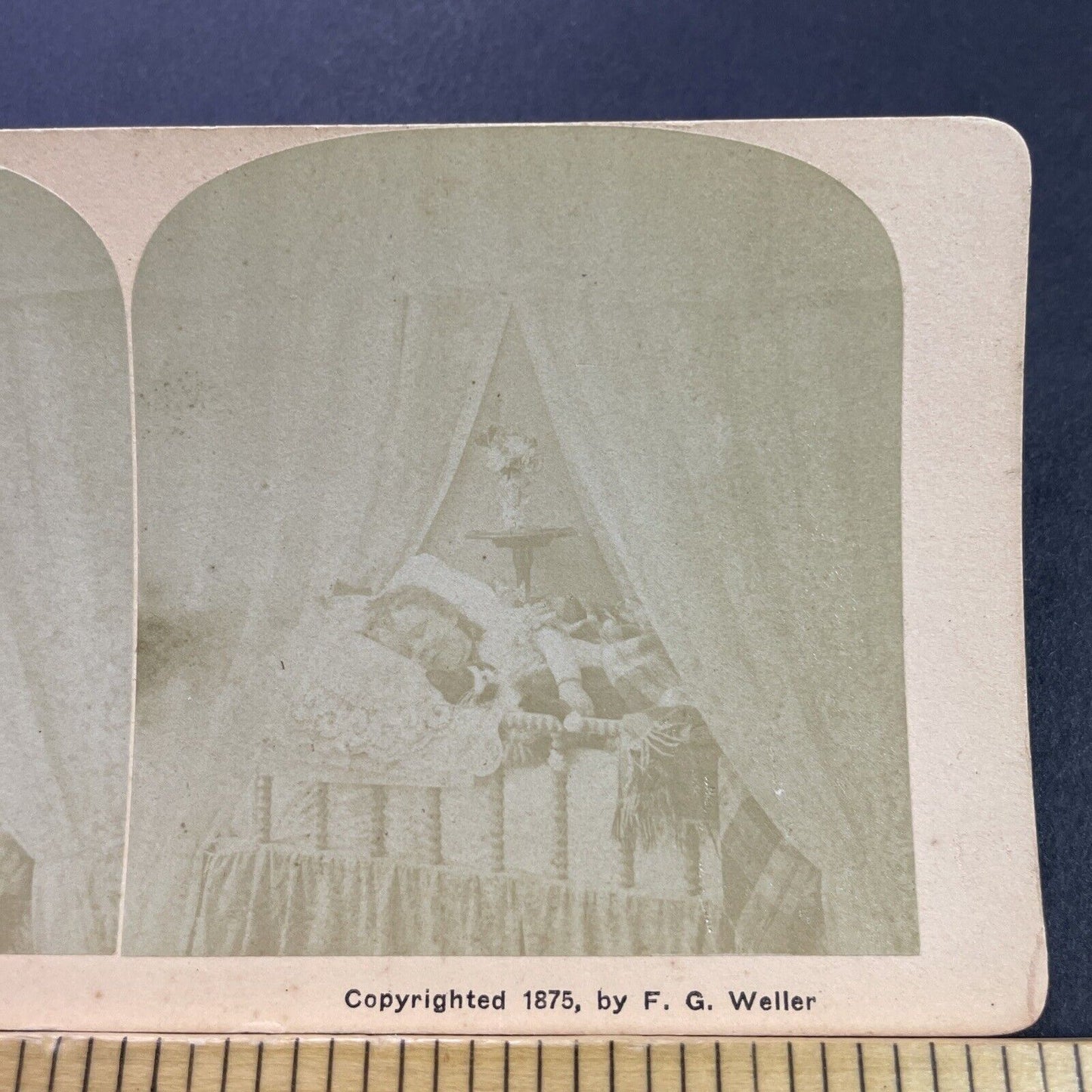 Antique 1875 Child Sleeps With Cat In Victorian Bed Stereoview Photo Card P4122