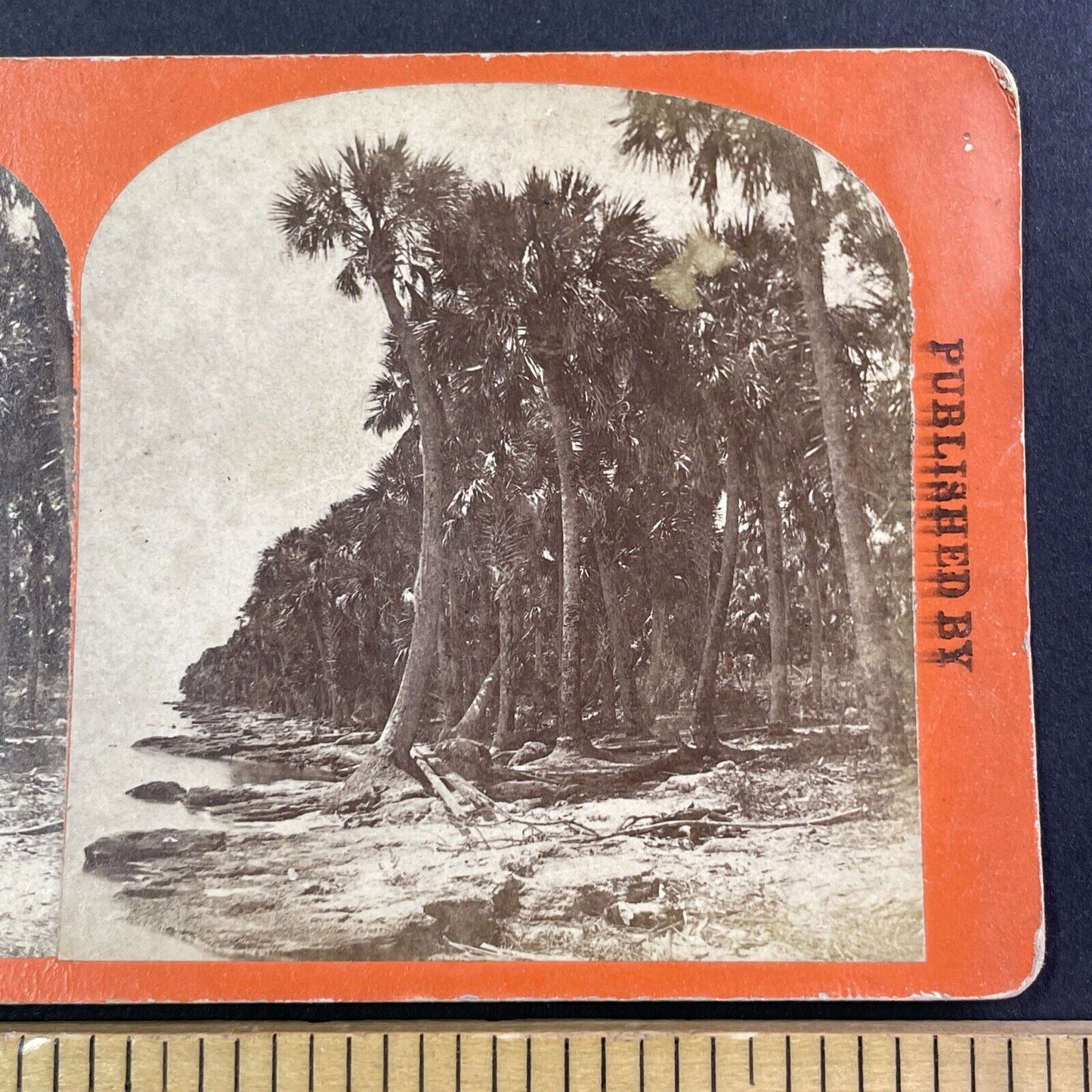 St. Johns River in Palatka Florida Stereoview J.F. Mears Antique c1870s Y050