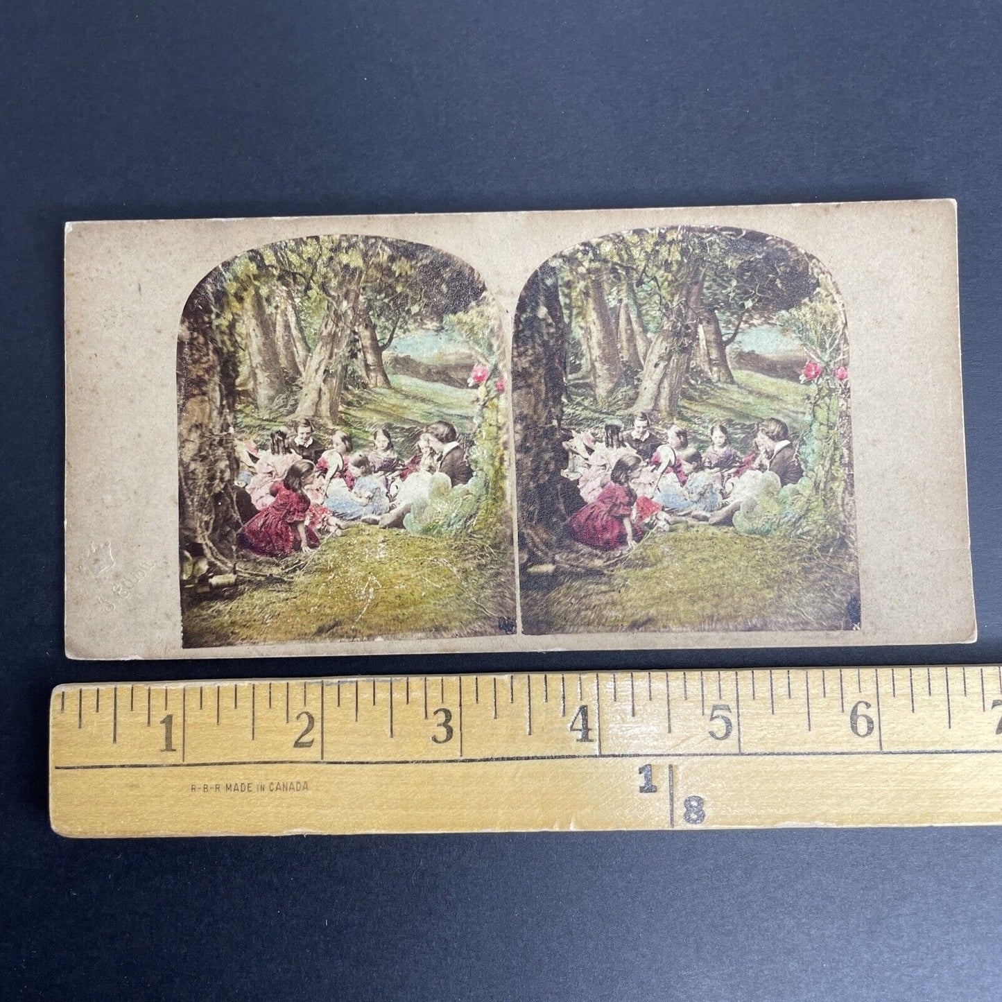 Antique c1840s French Picnic In Ancient Forest Stereoview Photo Card PC827