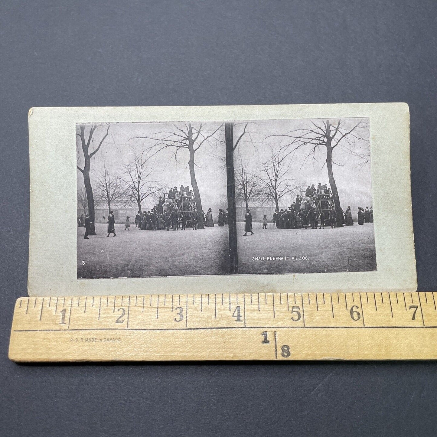 Antique 1880s Elephant Rides At The London Zoo Stereoview Photo Card P1681