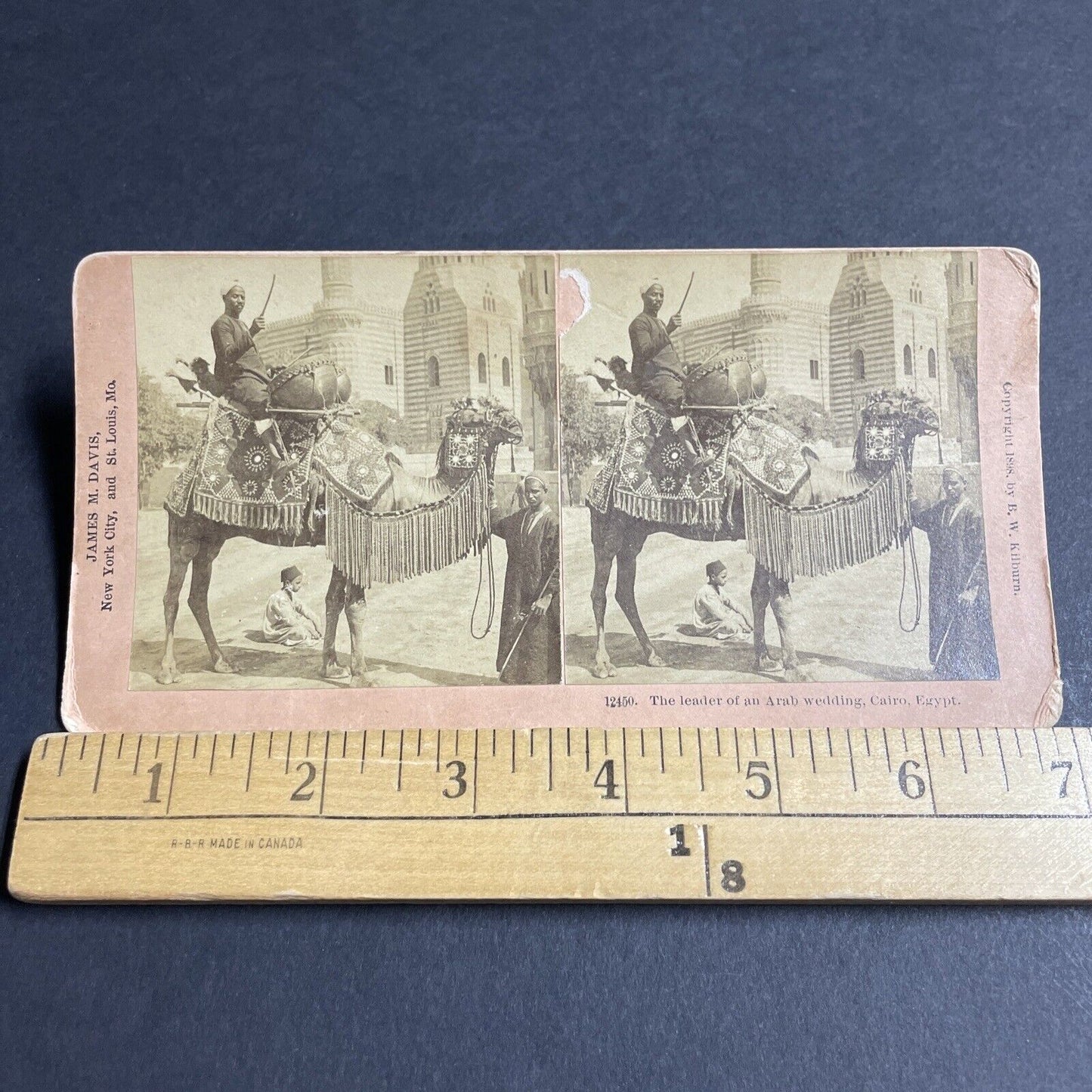 Antique 1898 Man Plays Drums On A Camal In Cairo Stereoview Photo Card P4191