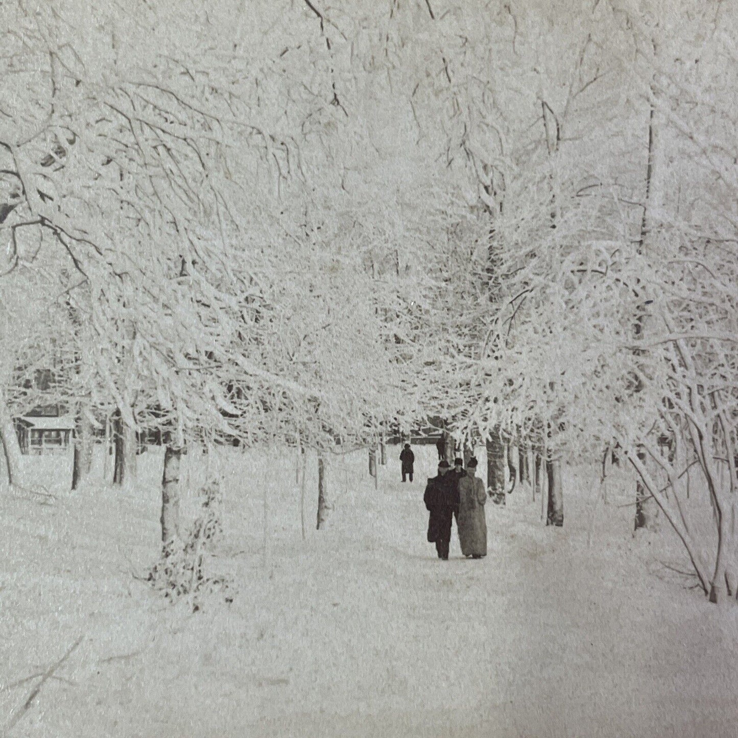 Winter Walk Through Prospect Park Stereoview Niagara Falls Antique c1893 Y2752