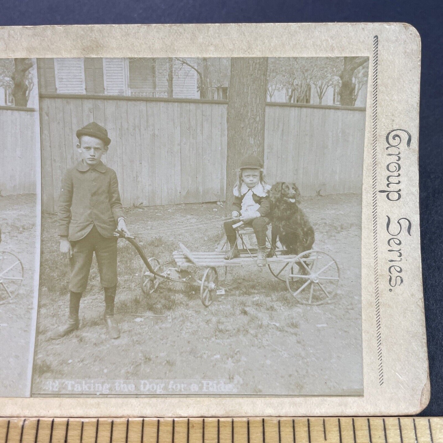 Antique 1870s Boy Pulls A Dog On A Wagon Cart Stereoview Photo Card P4111