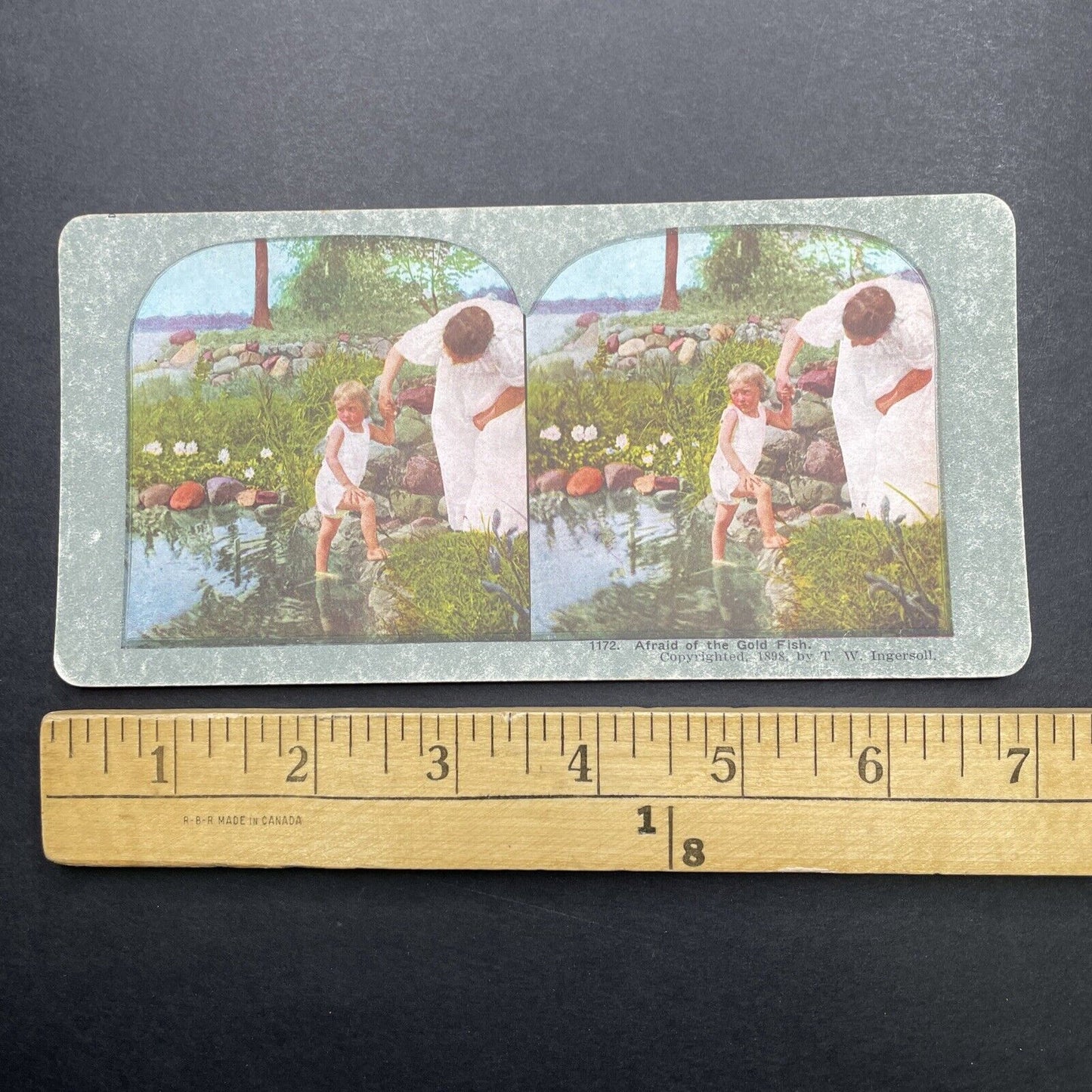 Antique 1898 Child Playing In A Frog Pond Stereoview Photo Card P580-002