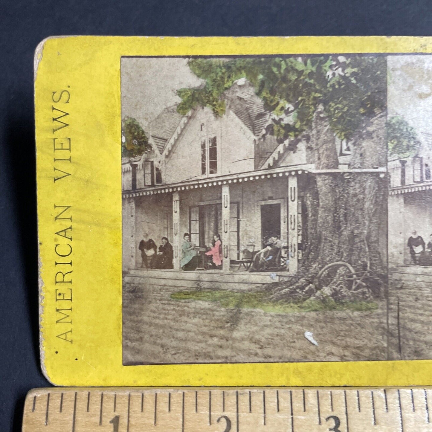 Antique 1870s Huge Oak Tree Grows Into House Florida Stereoview Photo Card P4774
