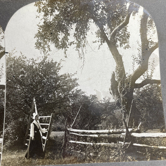 Antique 1903 Christian Woman Grand-Pré Nova Scotia Canada Stereoview Photo PC636