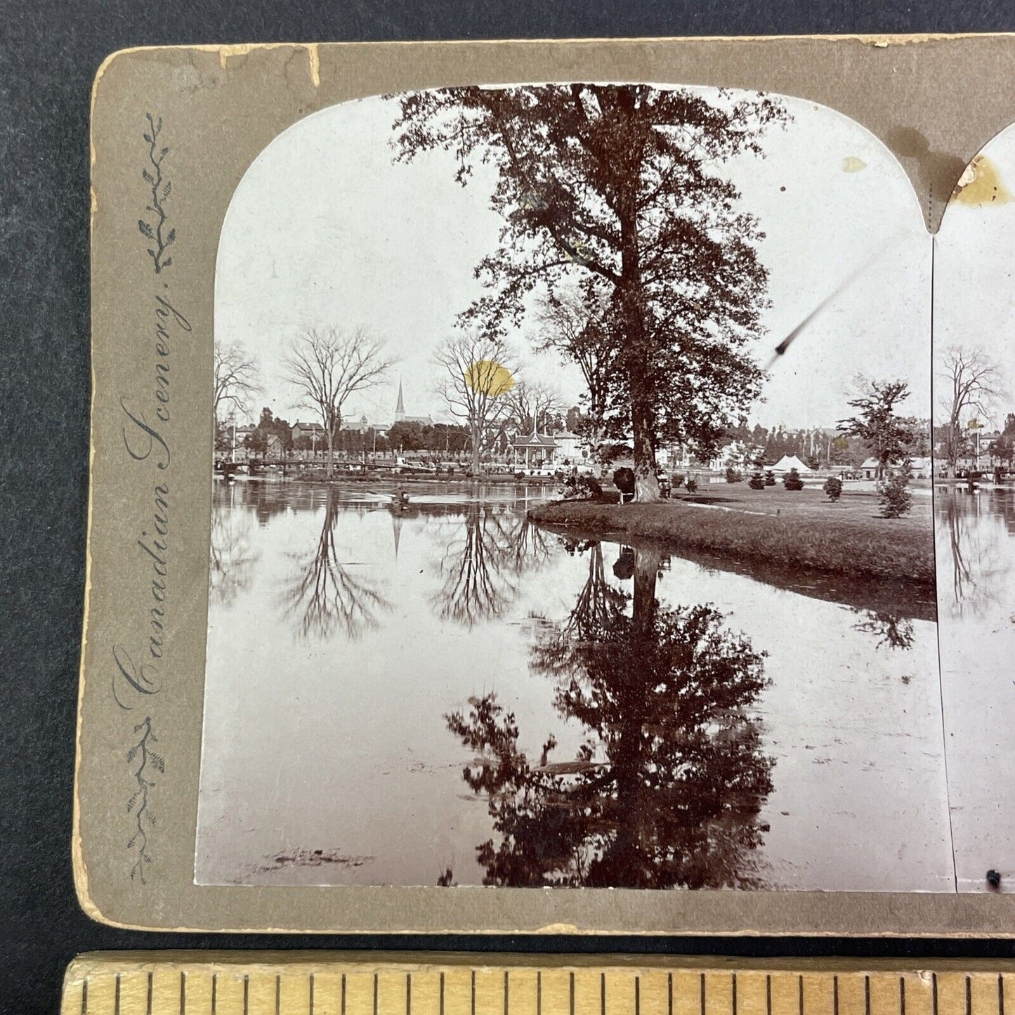 Victoria Park Kitchener Ontario Stereoview Schneider Park Antique c1897 Y1384