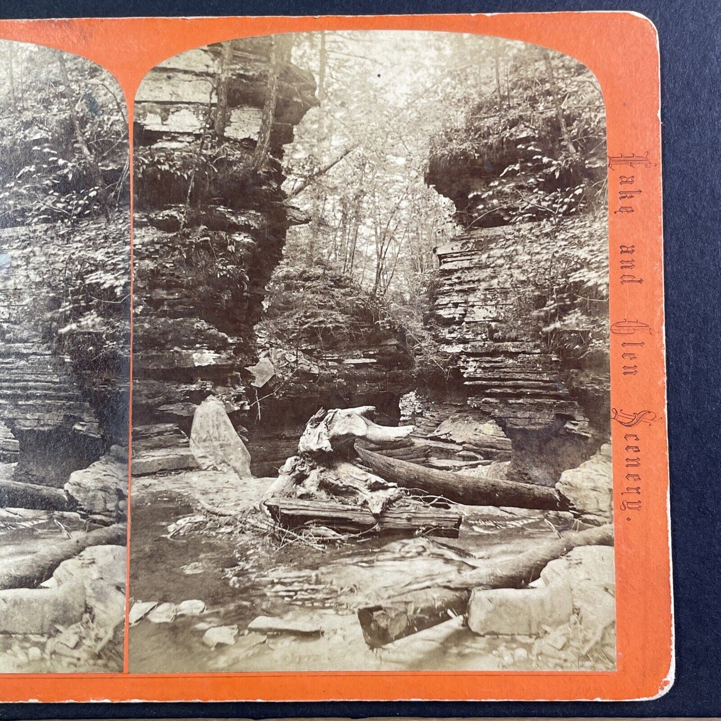 Tree Debris Watkins Glen New York Stereoview George F. Gates Antique c1865 Y1750